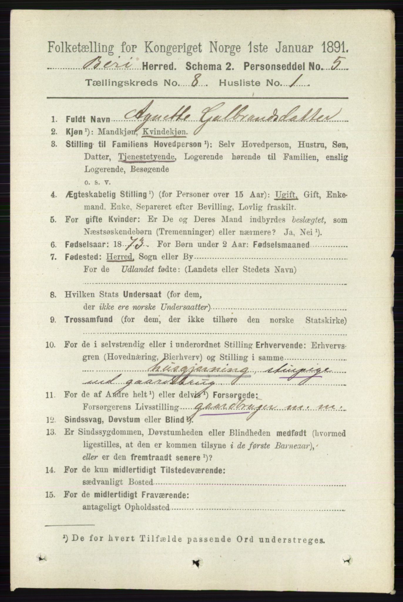 RA, 1891 census for 0525 Biri, 1891, p. 2915