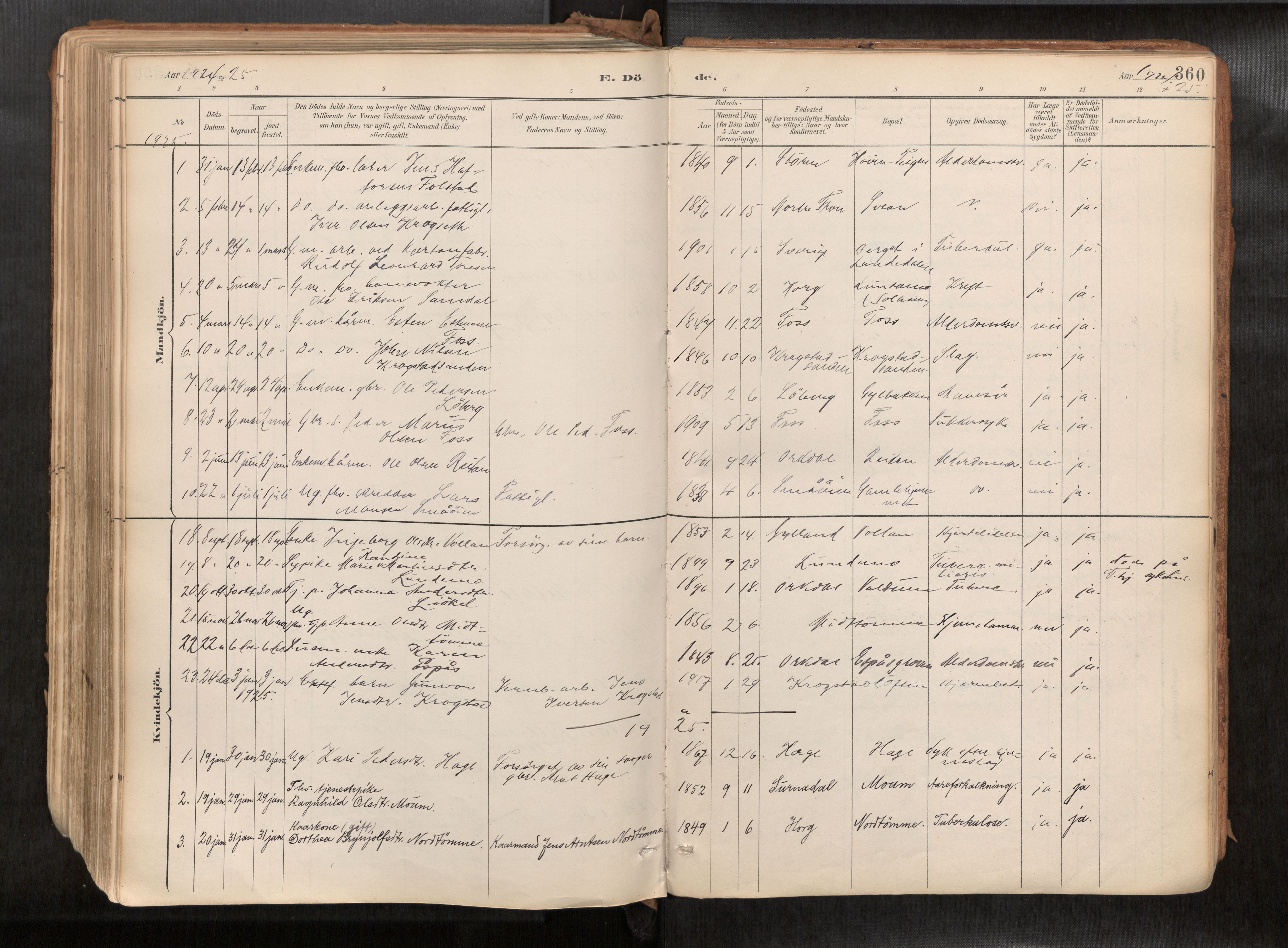 Ministerialprotokoller, klokkerbøker og fødselsregistre - Sør-Trøndelag, SAT/A-1456/692/L1105b: Parish register (official) no. 692A06, 1891-1934, p. 360