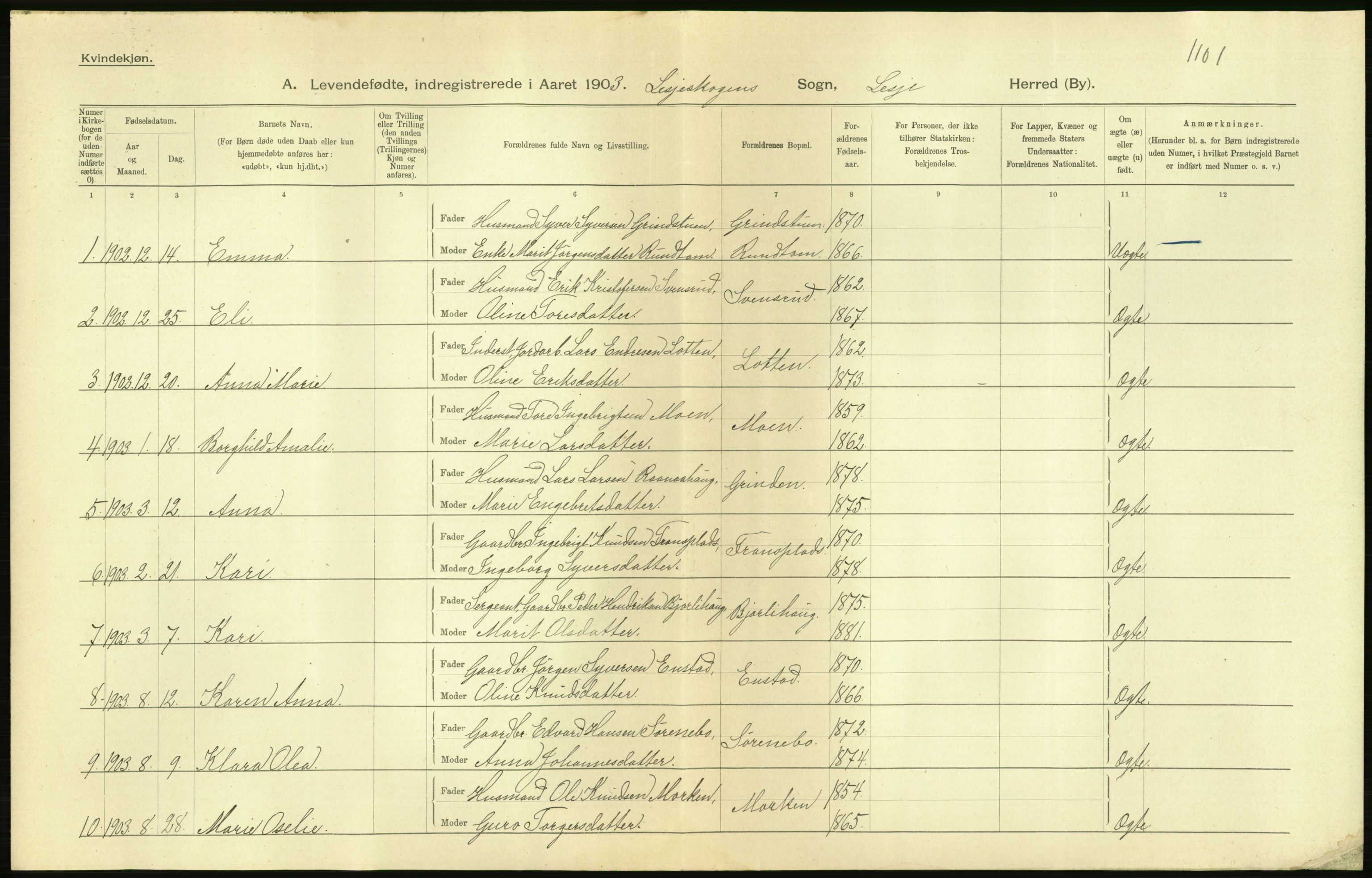 Statistisk sentralbyrå, Sosiodemografiske emner, Befolkning, AV/RA-S-2228/D/Df/Dfa/Dfaa/L0006: Kristians amt: Fødte, gifte, døde, 1903, p. 14