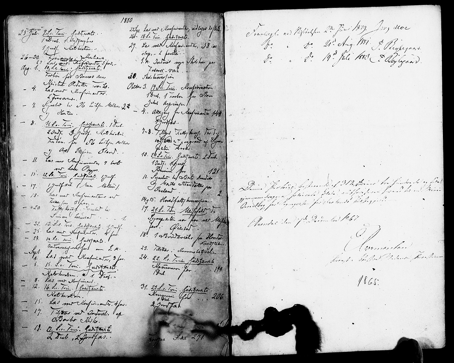 Froland sokneprestkontor, SAK/1111-0013/F/Fa/L0003: Parish register (official) no. A 3, 1864-1881, p. 313