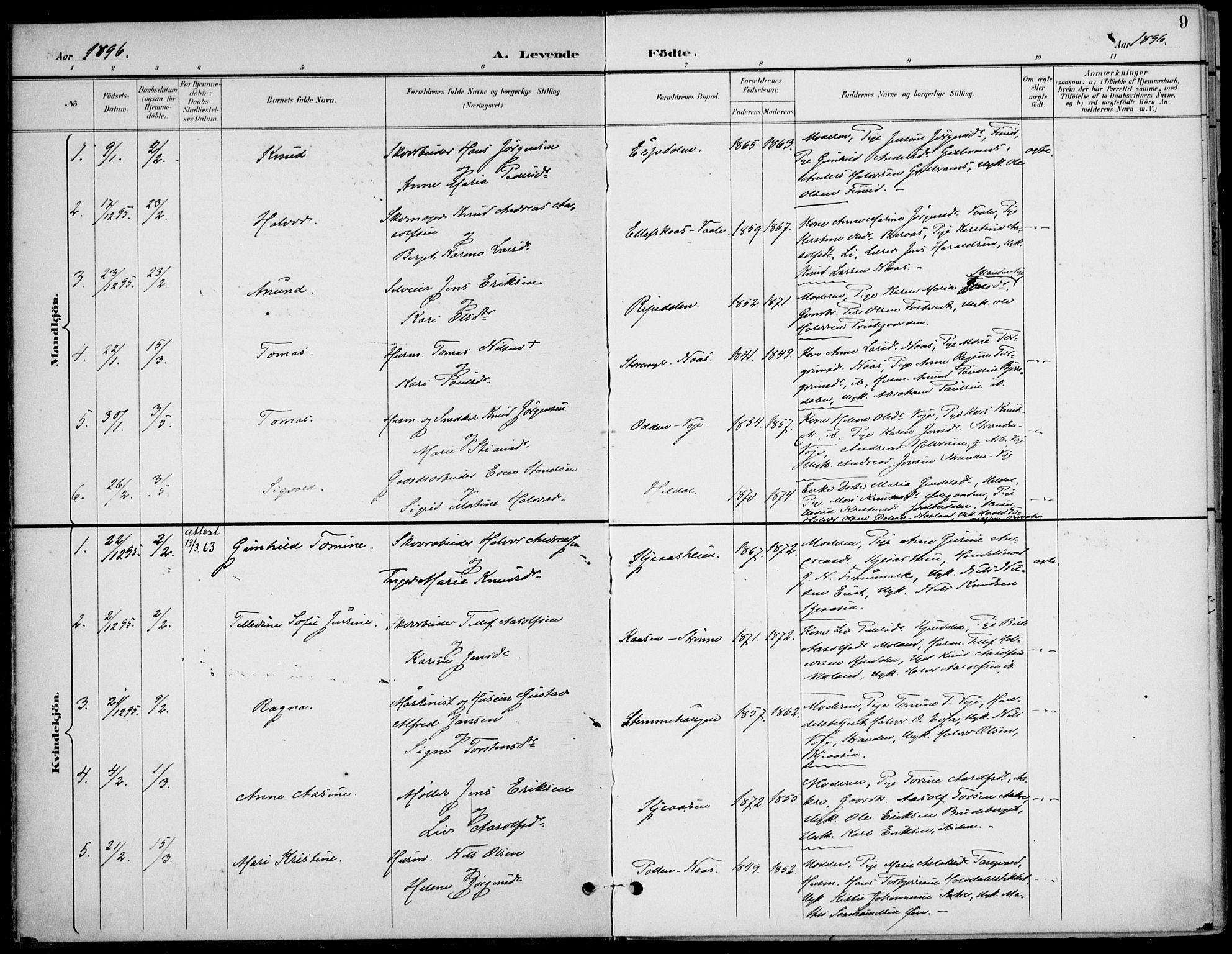Drangedal kirkebøker, AV/SAKO-A-258/F/Fa/L0012: Parish register (official) no. 12, 1895-1905, p. 9