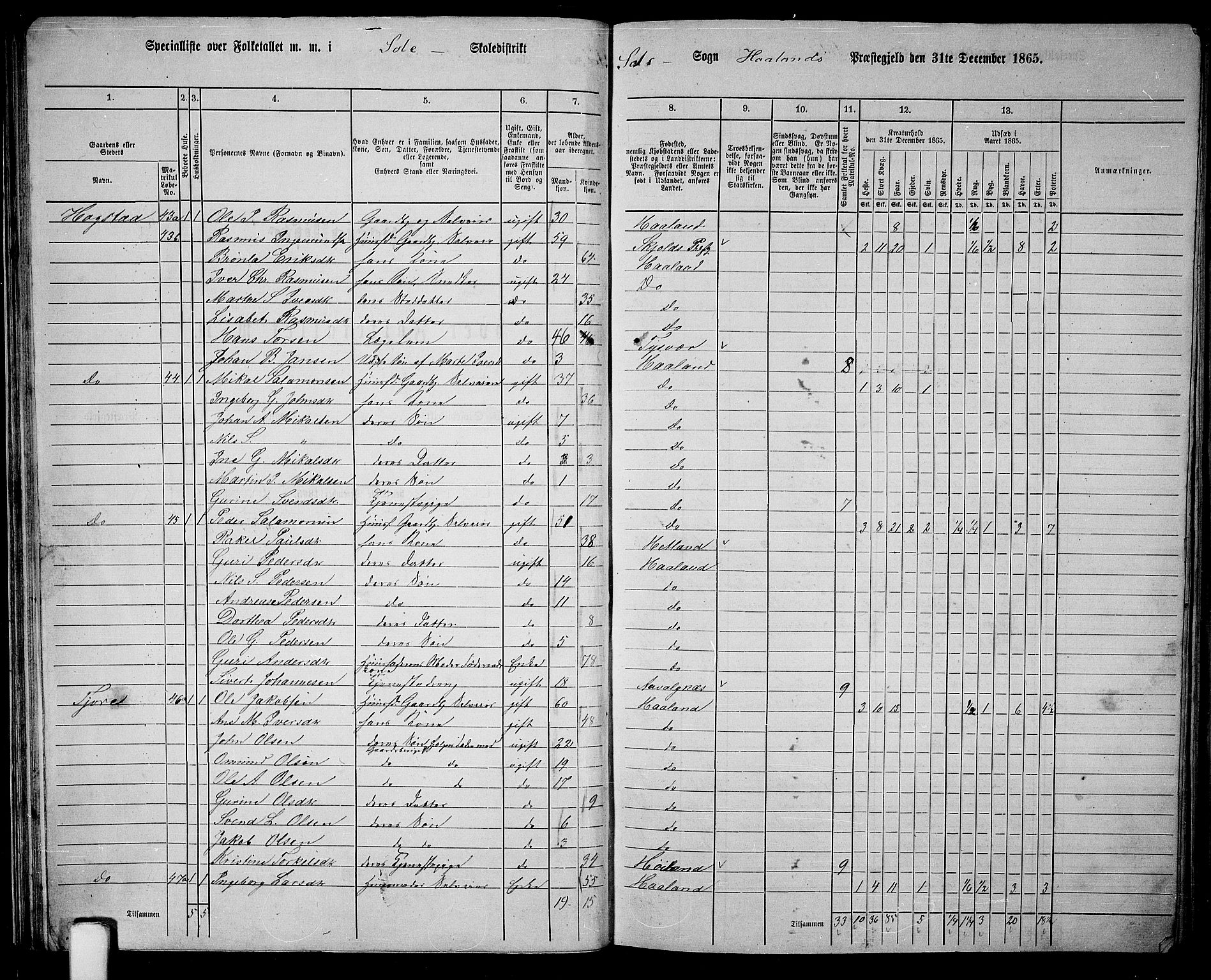 RA, 1865 census for Håland, 1865, p. 36