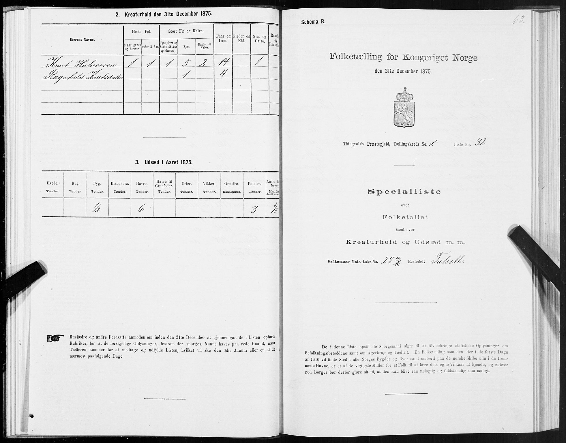 SAT, 1875 census for 1560P Tingvoll, 1875, p. 1063