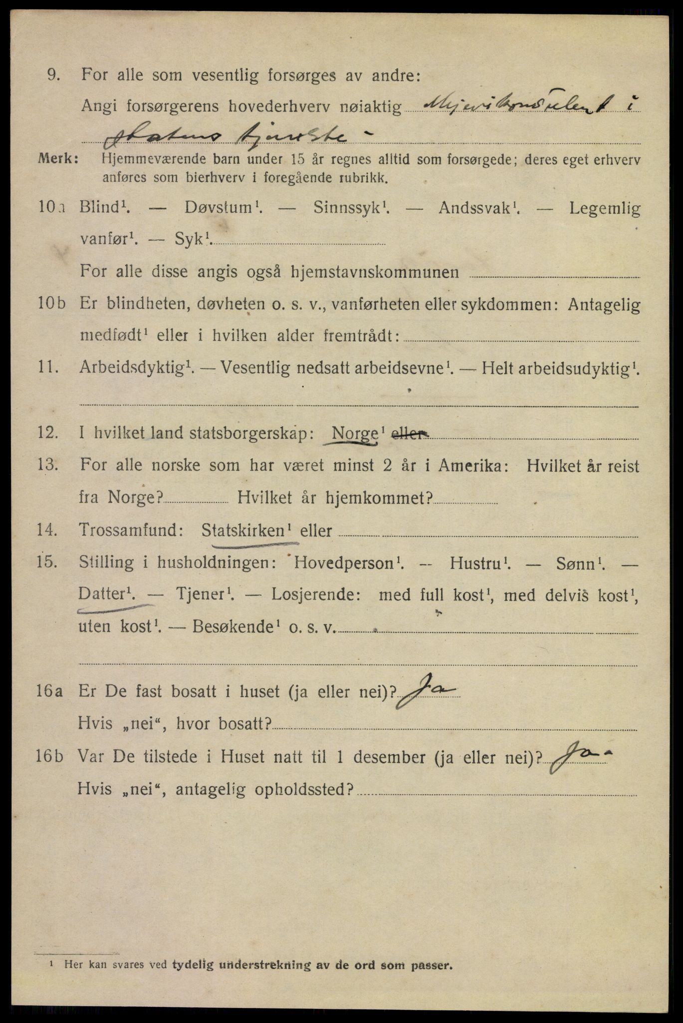 SAKO, 1920 census for Larvik, 1920, p. 13633