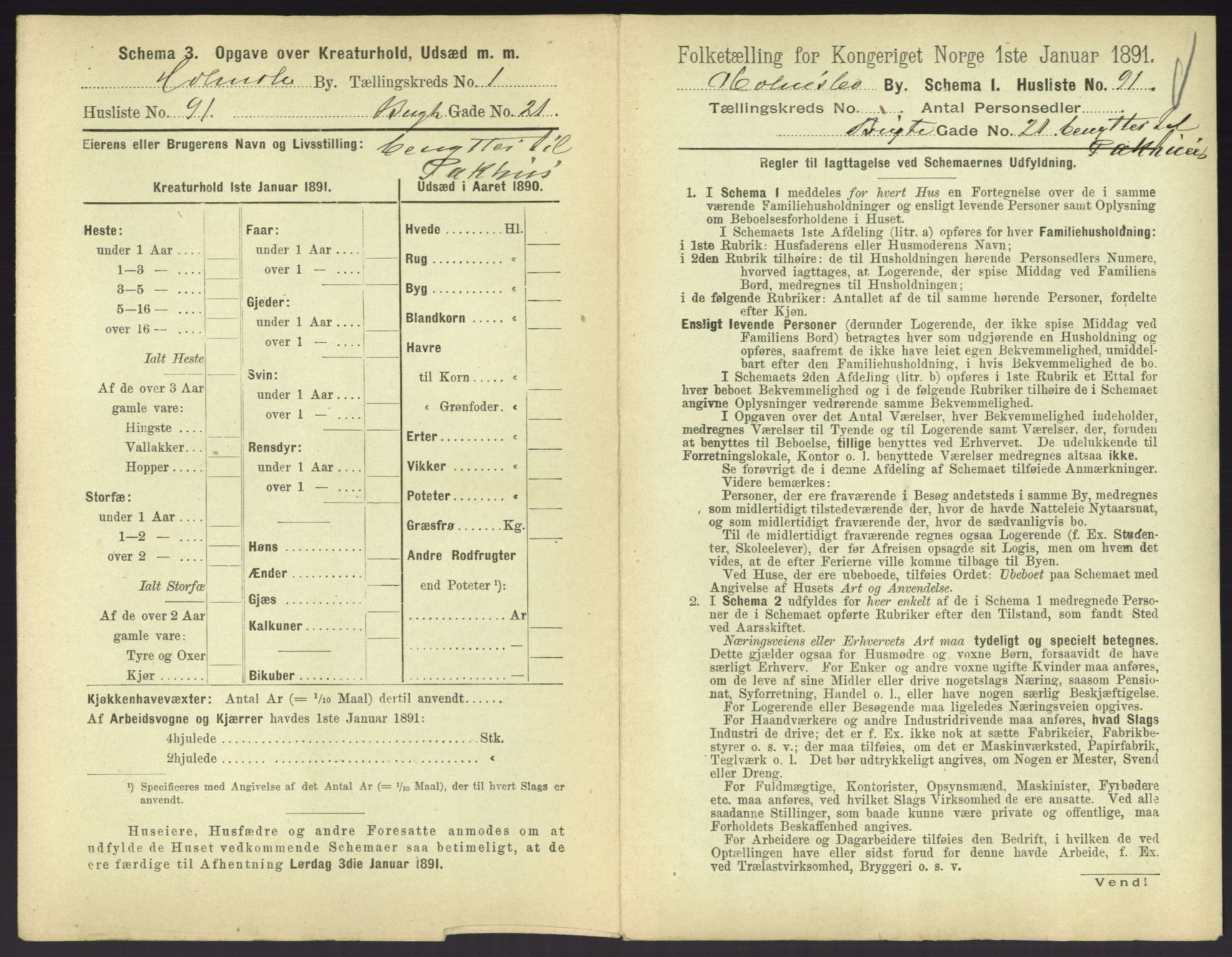 RA, 1891 census for 0603 Holmsbu, 1891, p. 195