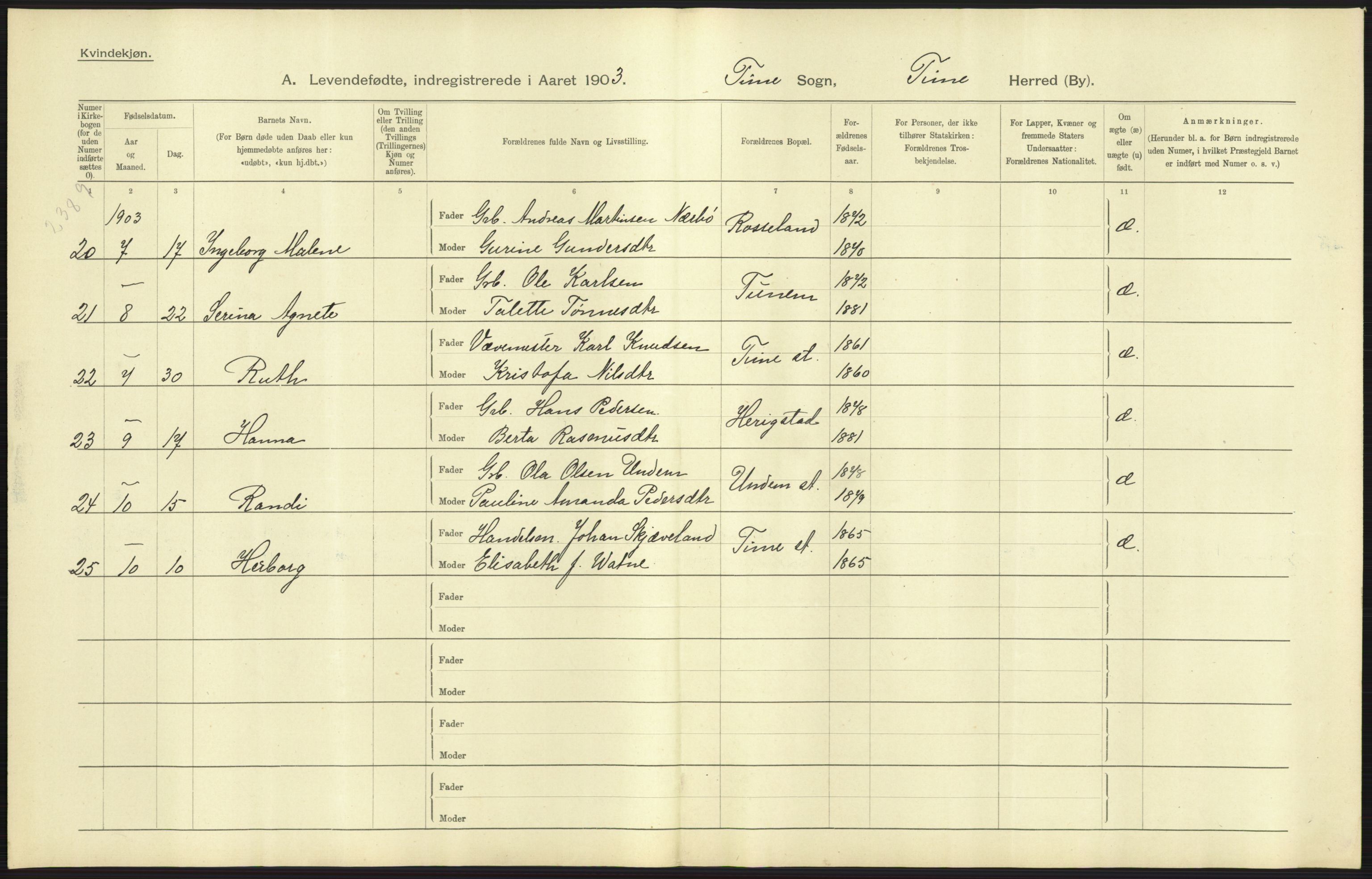 Statistisk sentralbyrå, Sosiodemografiske emner, Befolkning, AV/RA-S-2228/D/Df/Dfa/Dfaa/L0012: Stavanger amt: Fødte, gifte, døde, 1903, p. 29