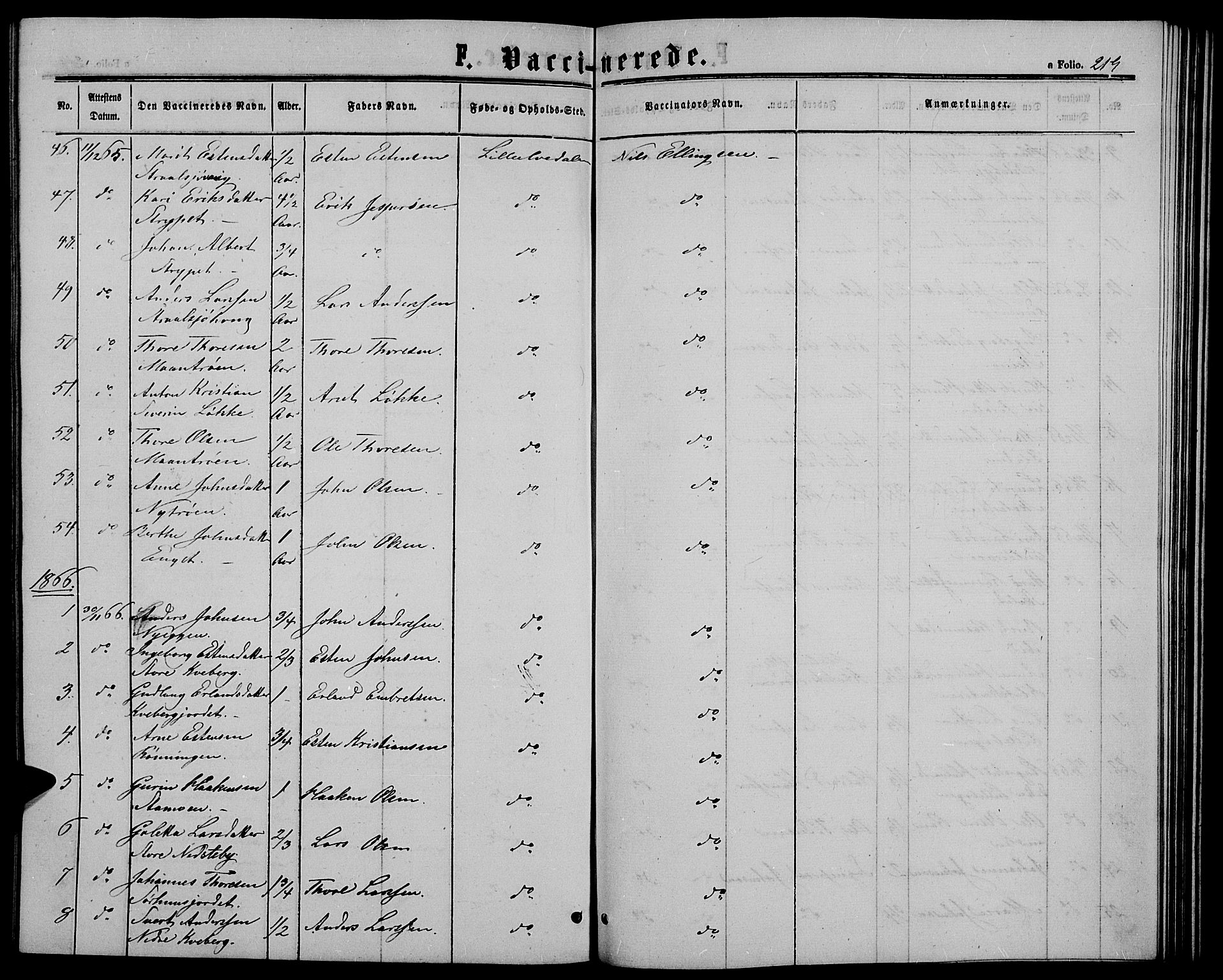 Alvdal prestekontor, SAH/PREST-060/H/Ha/Hab/L0002: Parish register (copy) no. 2, 1863-1878, p. 219
