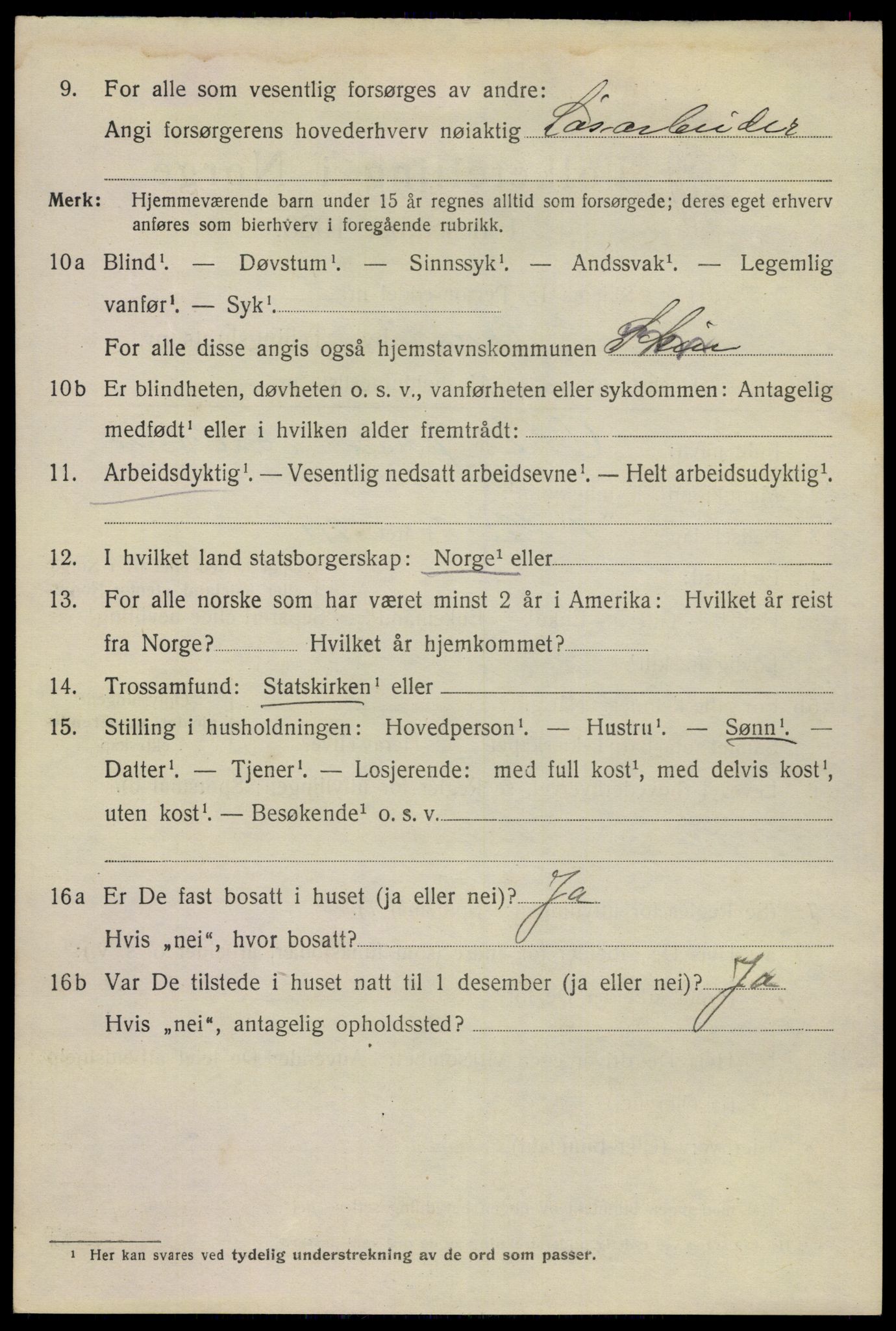 SAKO, 1920 census for Skien, 1920, p. 20017