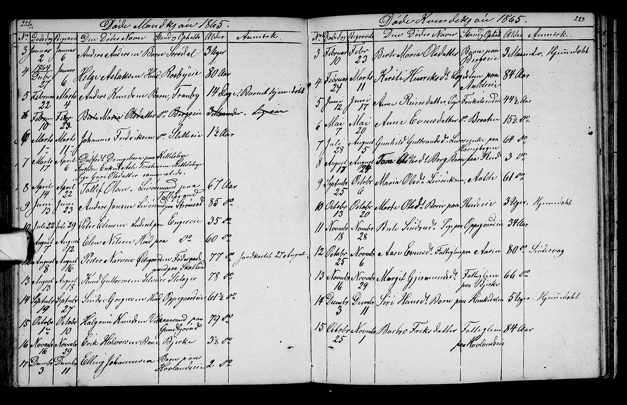 Lunder kirkebøker, SAKO/A-629/G/Ga/L0002: Parish register (copy) no. I 2, 1849-1868, p. 222-223