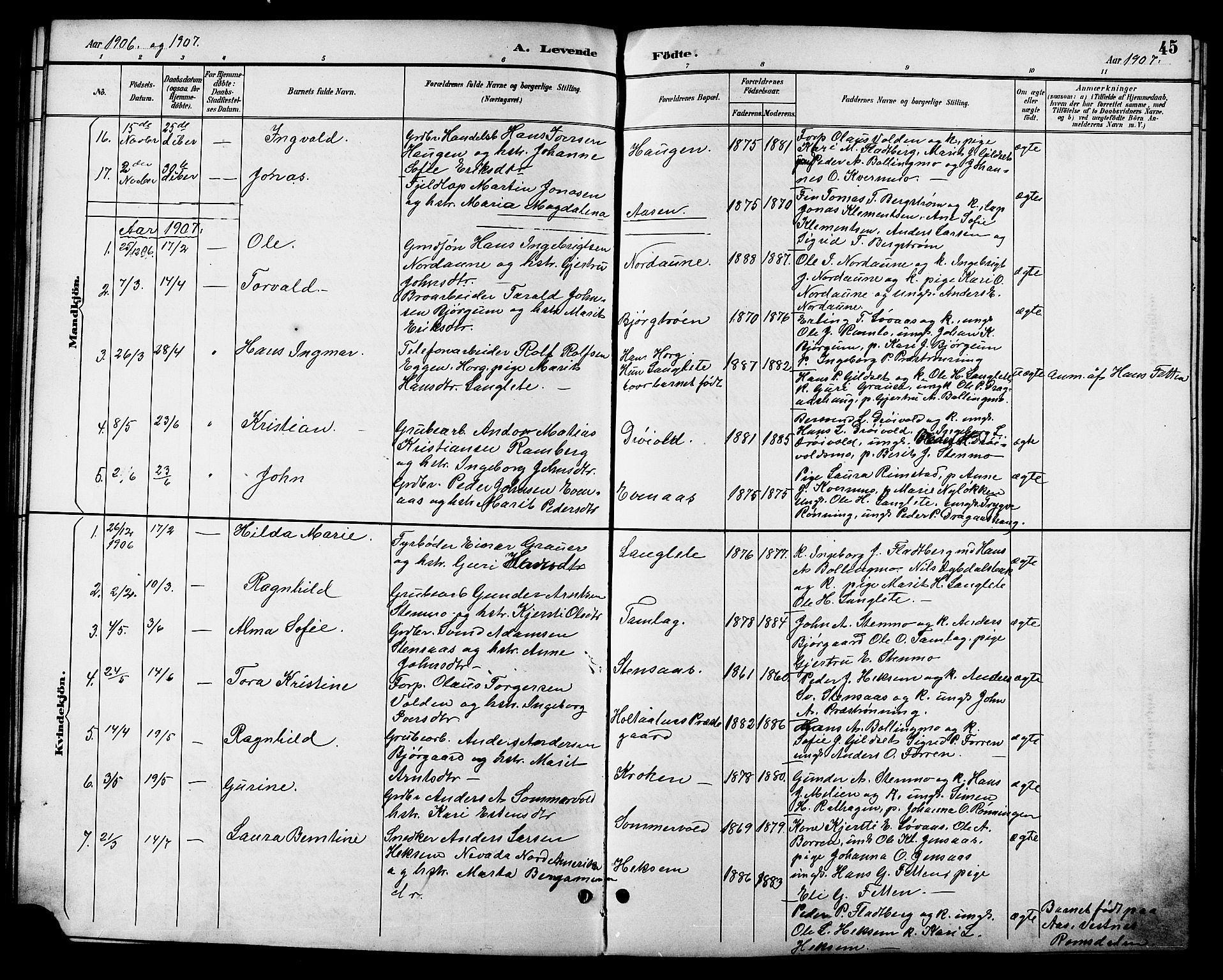 Ministerialprotokoller, klokkerbøker og fødselsregistre - Sør-Trøndelag, SAT/A-1456/685/L0978: Parish register (copy) no. 685C03, 1891-1907, p. 45