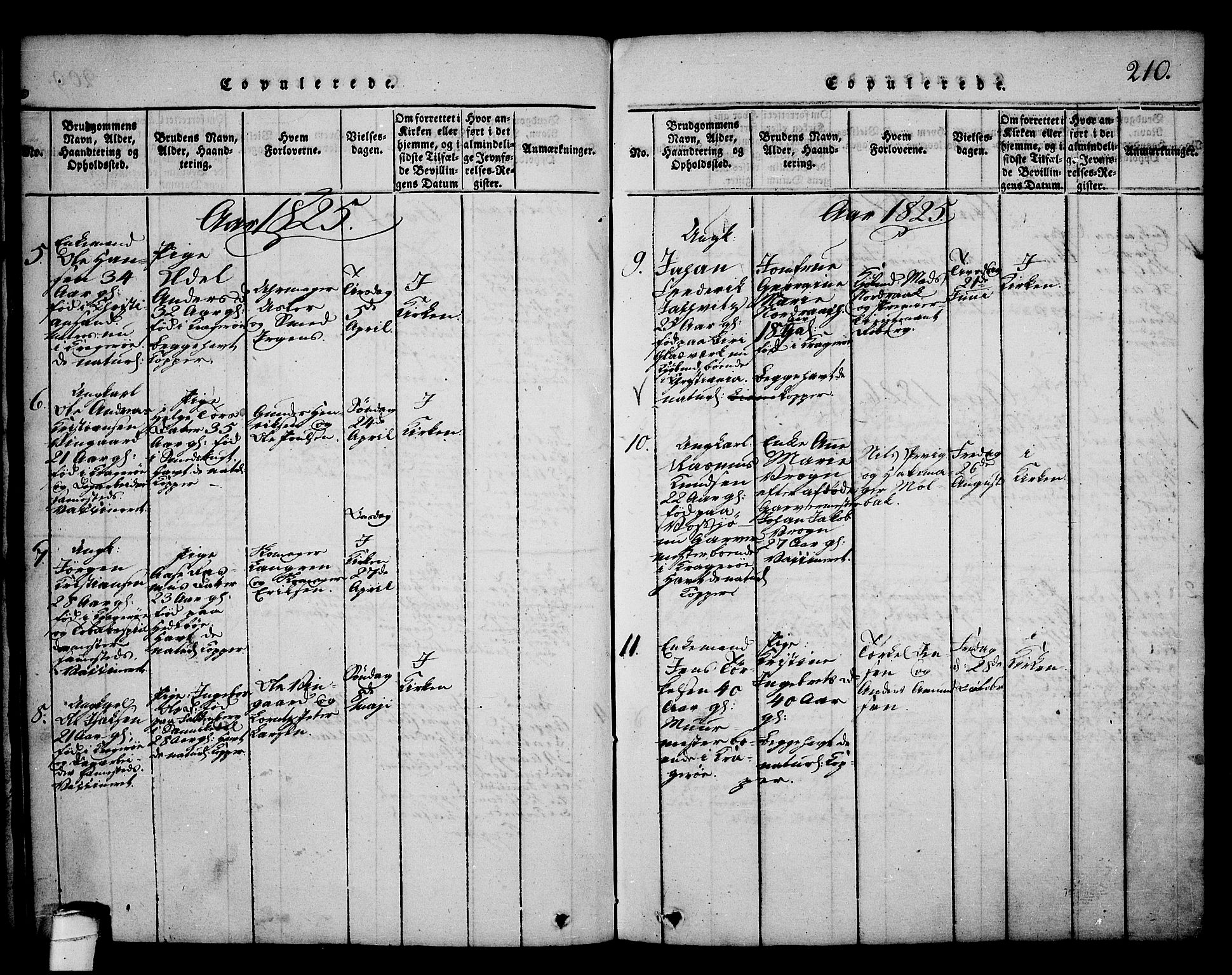 Kragerø kirkebøker, SAKO/A-278/G/Ga/L0002: Parish register (copy) no. 2, 1814-1831, p. 210