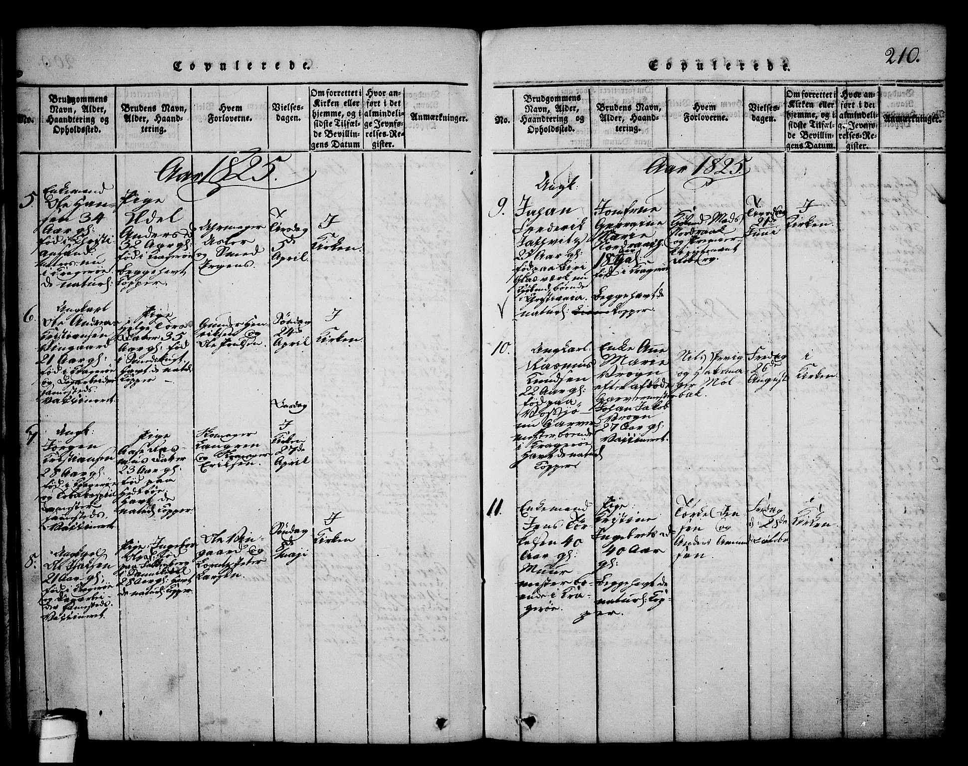 Kragerø kirkebøker, AV/SAKO-A-278/G/Ga/L0002: Parish register (copy) no. 2, 1814-1831, p. 210