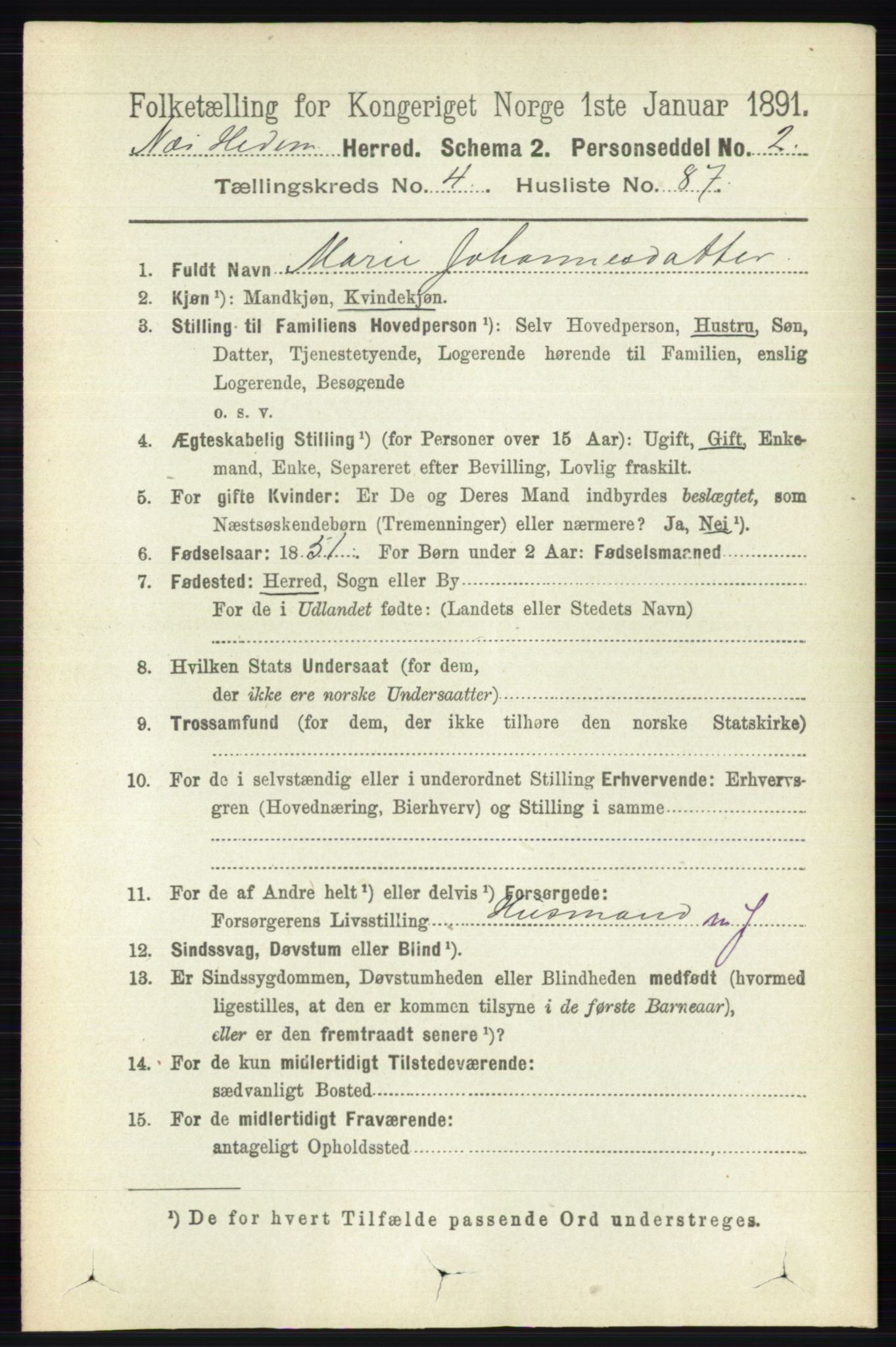 RA, 1891 census for 0411 Nes, 1891, p. 2504