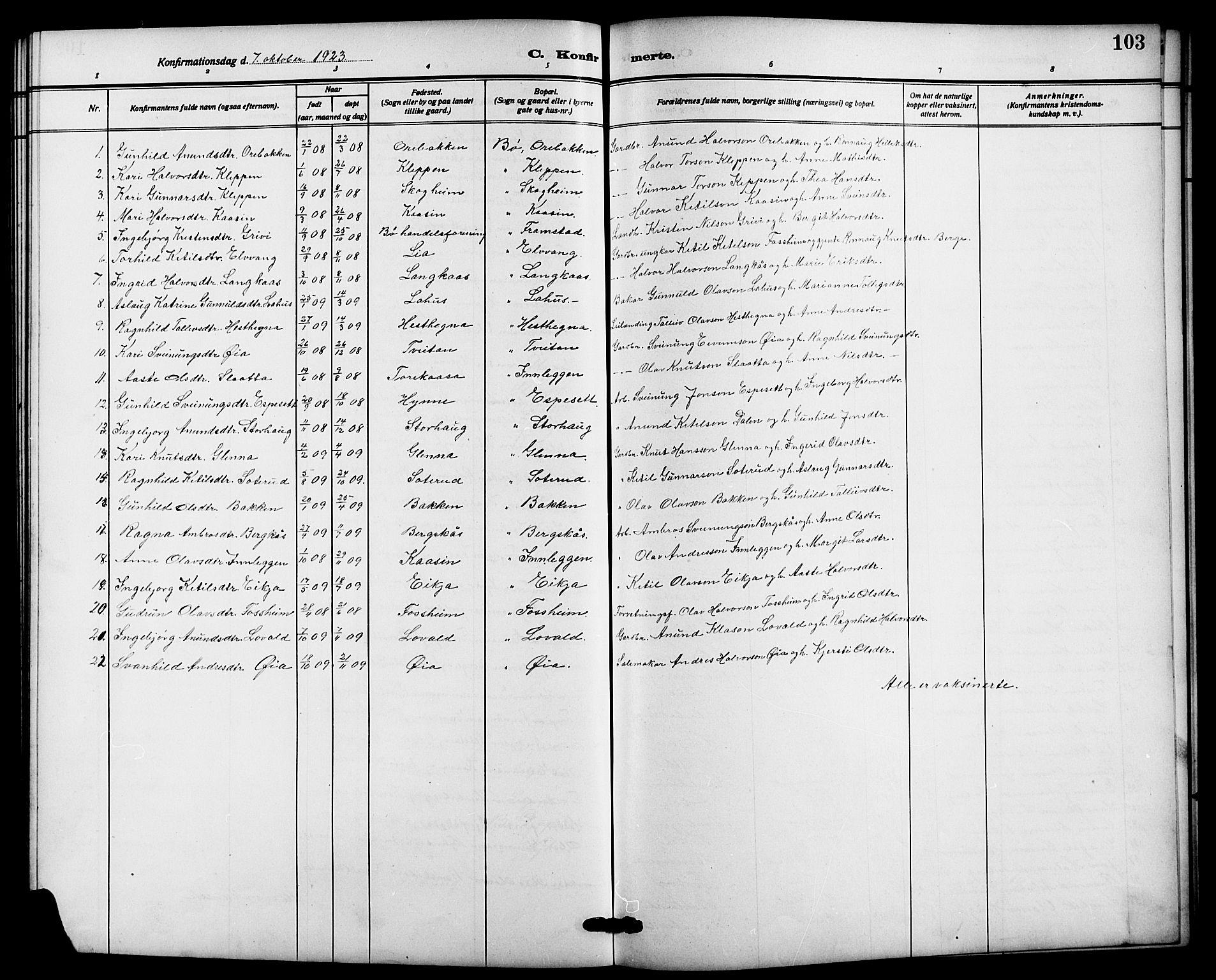 Bø kirkebøker, SAKO/A-257/G/Ga/L0007: Parish register (copy) no. 7, 1909-1924, p. 103