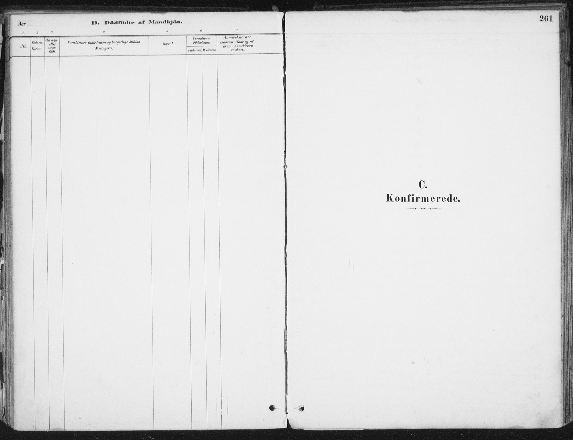Ministerialprotokoller, klokkerbøker og fødselsregistre - Nordland, SAT/A-1459/838/L0552: Parish register (official) no. 838A10, 1880-1910, p. 261