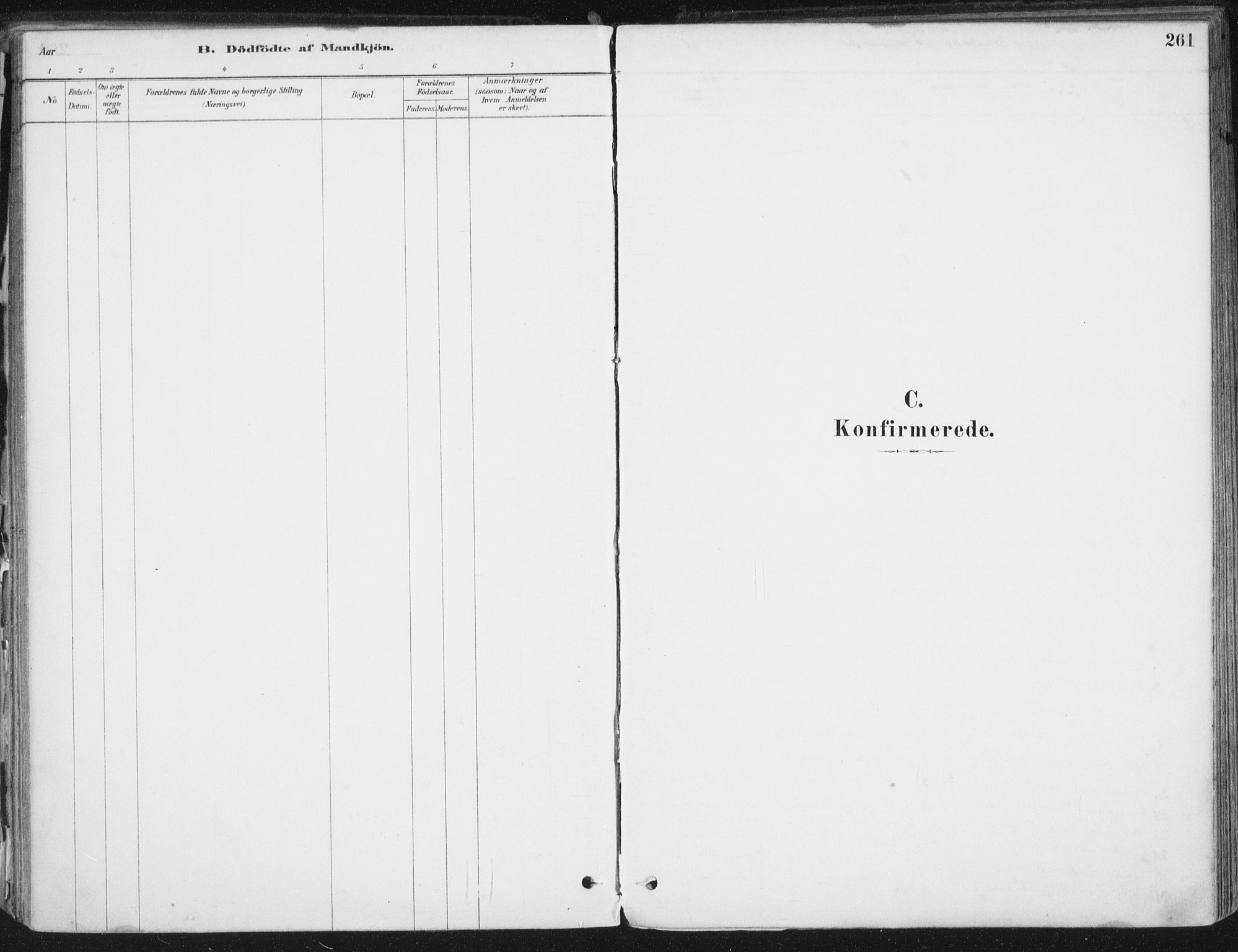 Ministerialprotokoller, klokkerbøker og fødselsregistre - Nordland, AV/SAT-A-1459/838/L0552: Parish register (official) no. 838A10, 1880-1910, p. 261