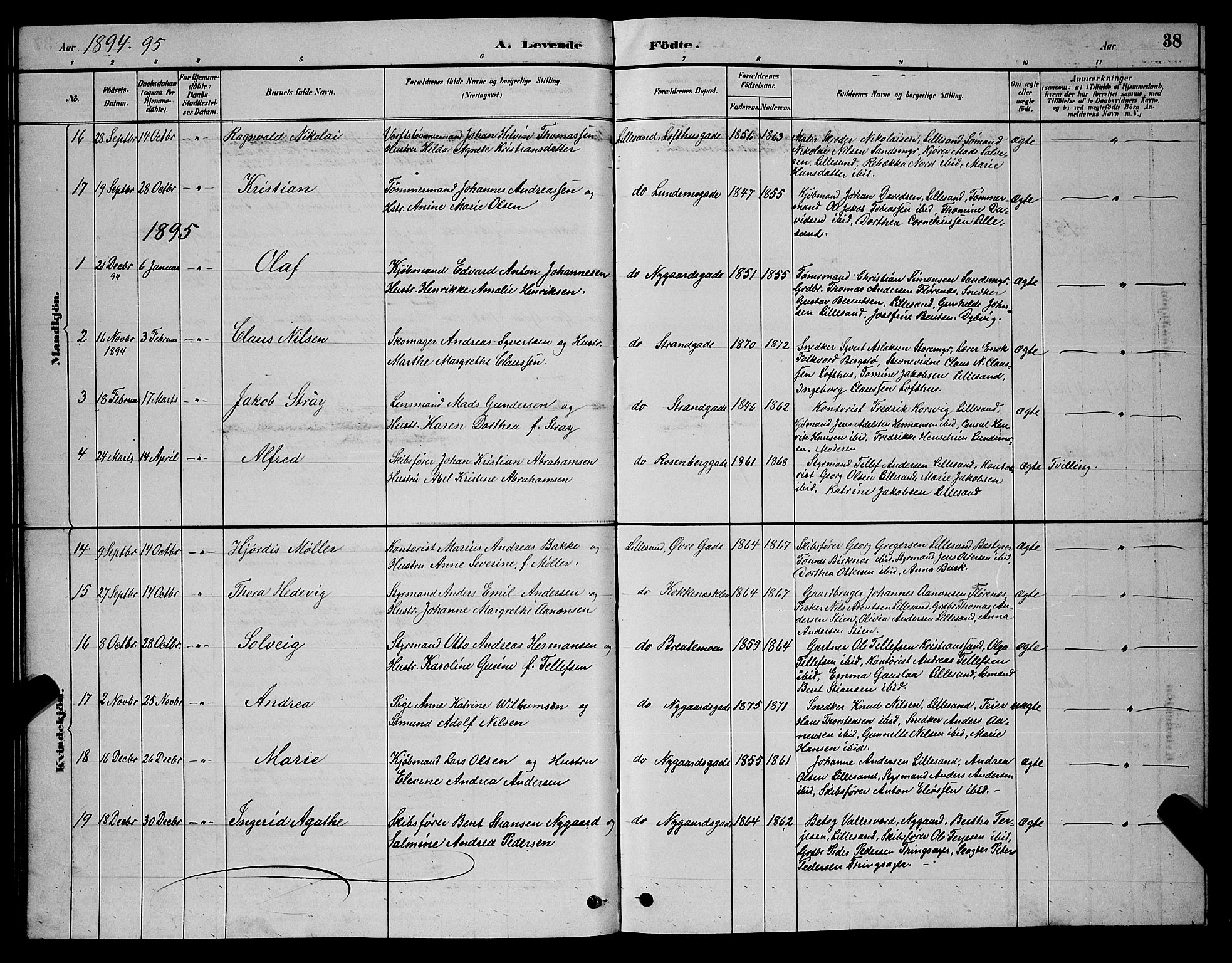 Vestre Moland sokneprestkontor, SAK/1111-0046/F/Fb/Fba/L0001: Parish register (copy) no. B 1, 1884-1903, p. 38