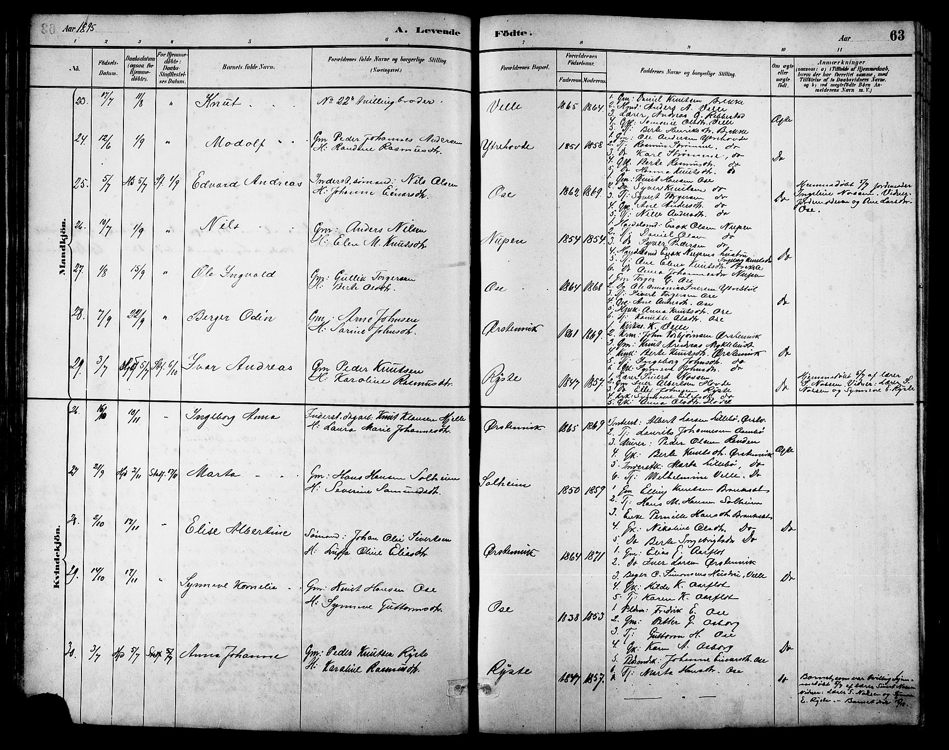 Ministerialprotokoller, klokkerbøker og fødselsregistre - Møre og Romsdal, AV/SAT-A-1454/513/L0189: Parish register (copy) no. 513C03, 1883-1904, p. 63