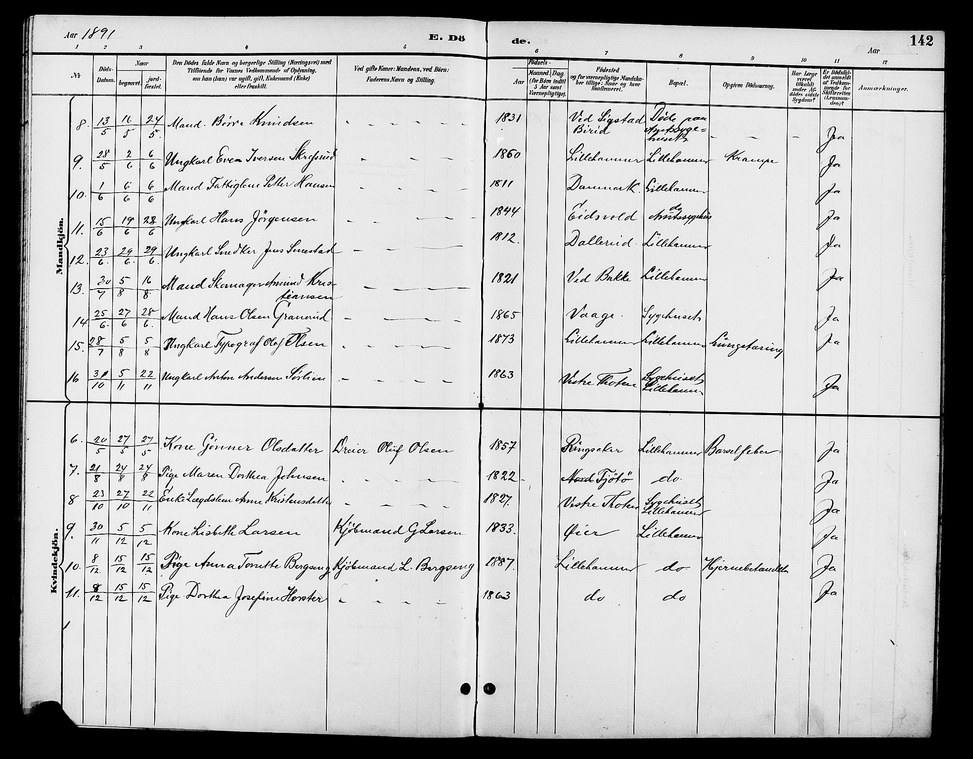 Fåberg prestekontor, AV/SAH-PREST-086/H/Ha/Hab/L0008: Parish register (copy) no. 8, 1891-1900, p. 142