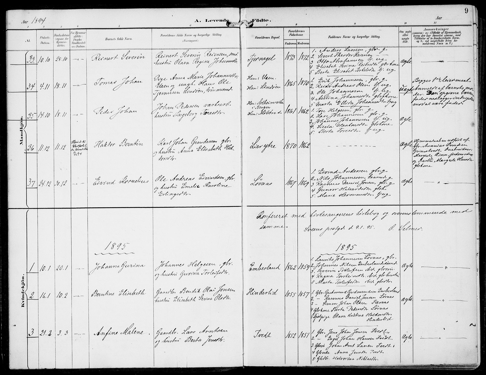 Sveio Sokneprestembete, AV/SAB-A-78501/H/Haa: Parish register (official) no. B  3, 1894-1906, p. 9