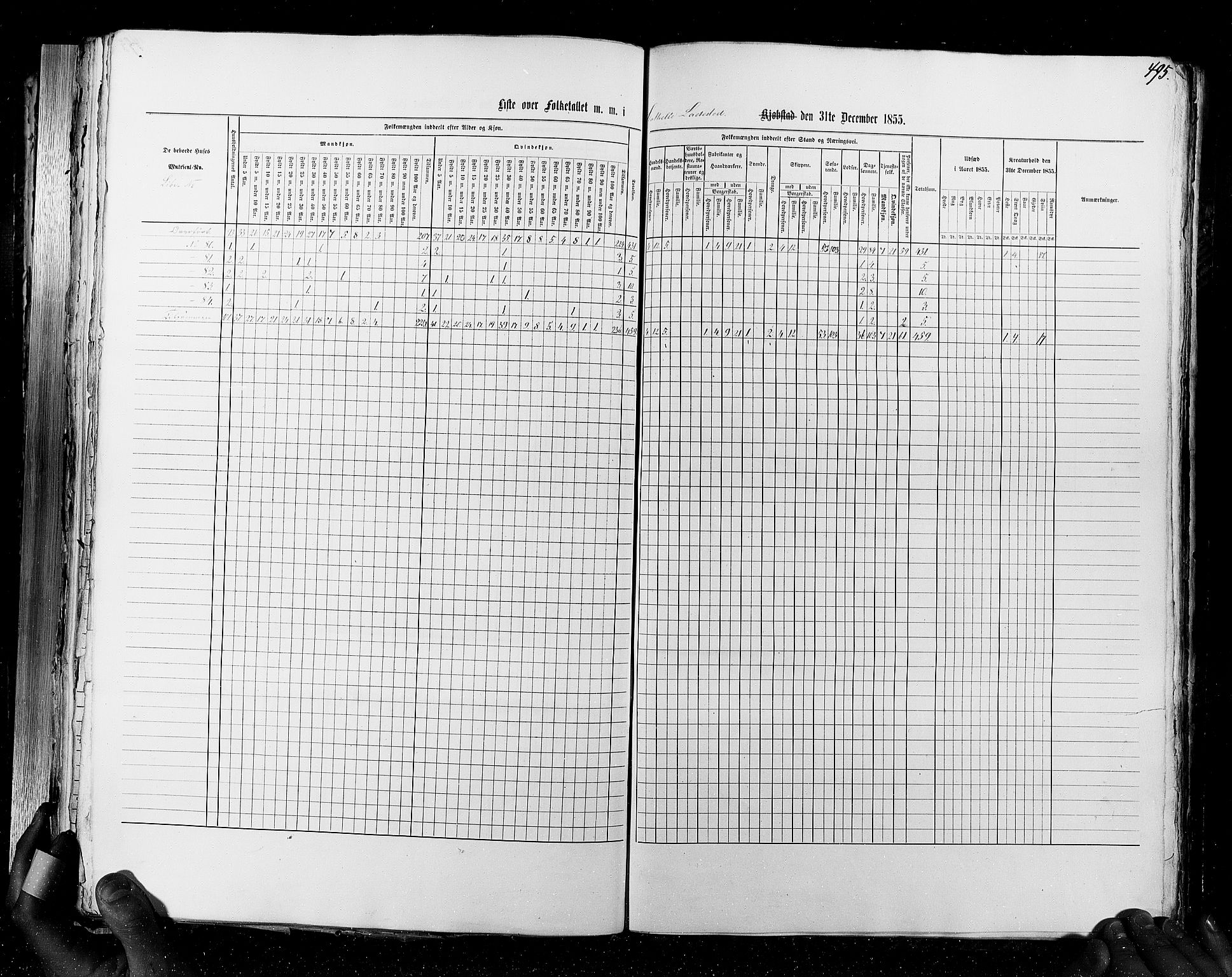 RA, Census 1855, vol. 7: Fredrikshald-Kragerø, 1855, p. 495