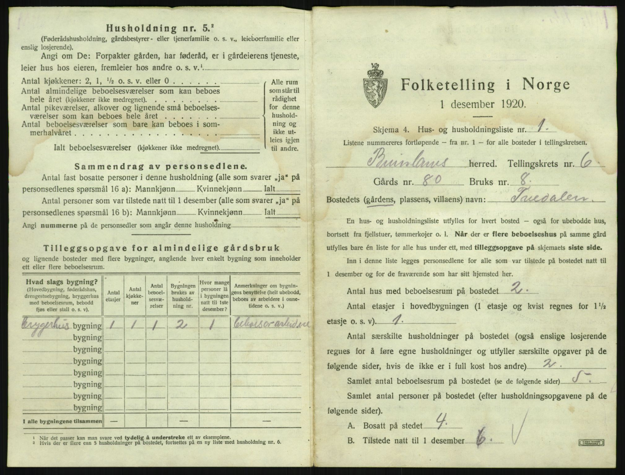 SAKO, 1920 census for Brunlanes, 1920, p. 865