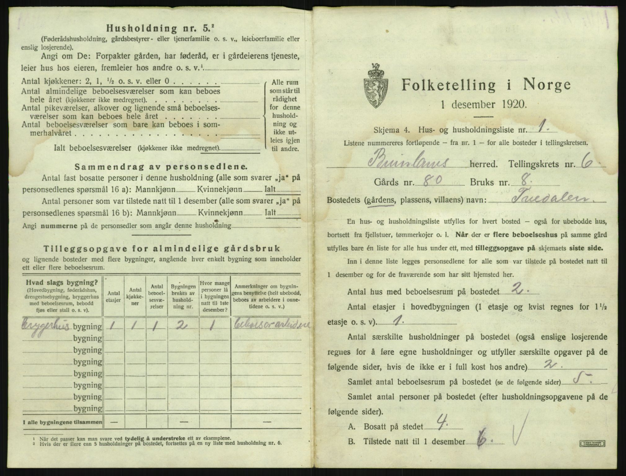 SAKO, 1920 census for Brunlanes, 1920, p. 865