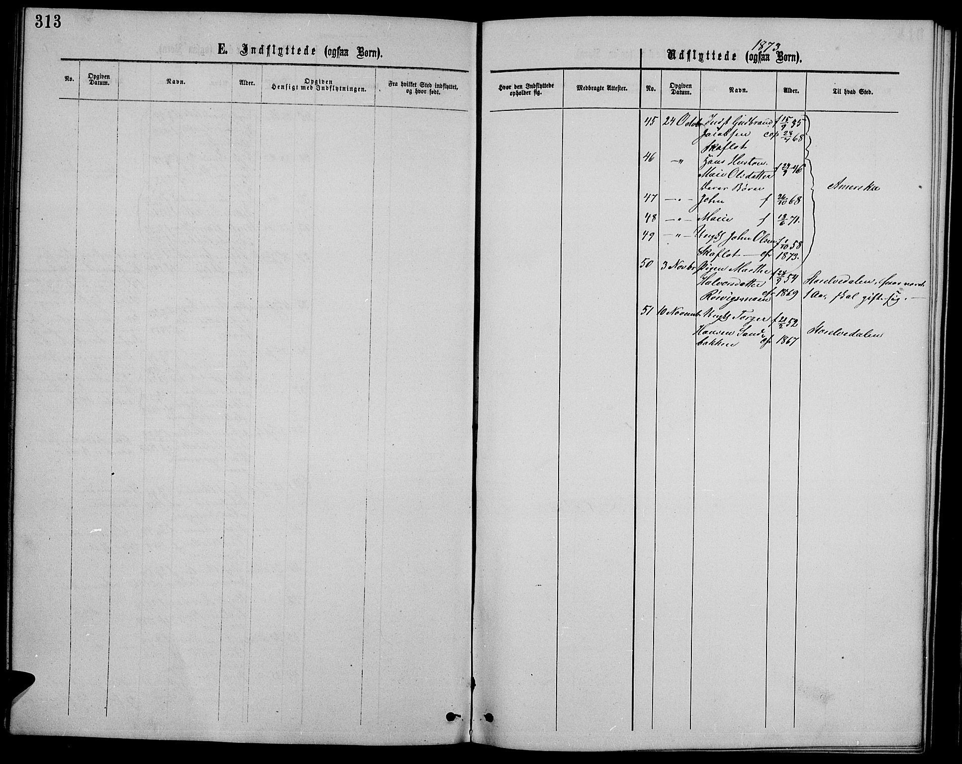 Ringebu prestekontor, SAH/PREST-082/H/Ha/Hab/L0004: Parish register (copy) no. 4, 1867-1879, p. 313
