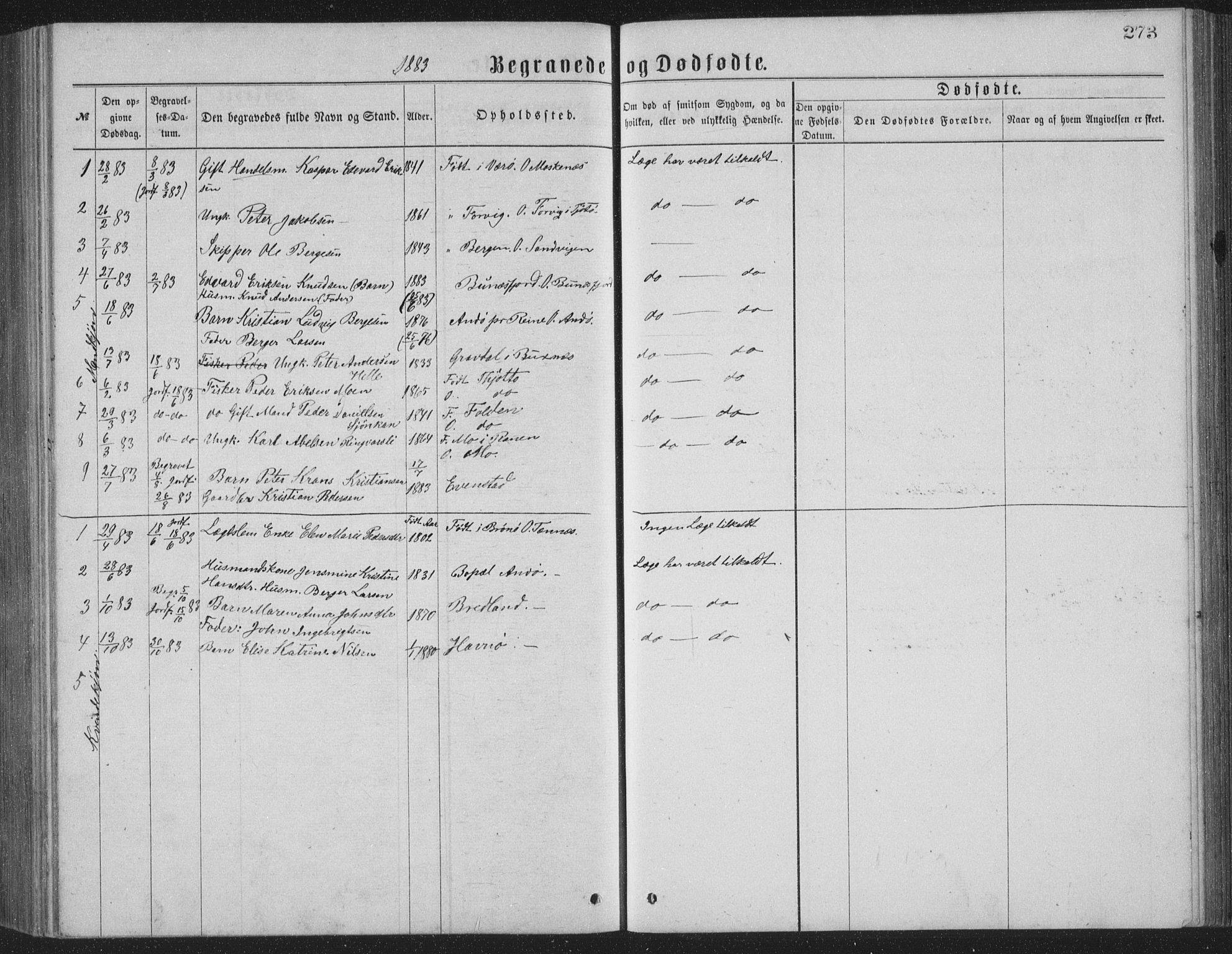 Ministerialprotokoller, klokkerbøker og fødselsregistre - Nordland, AV/SAT-A-1459/886/L1225: Parish register (copy) no. 886C02, 1874-1896, p. 273