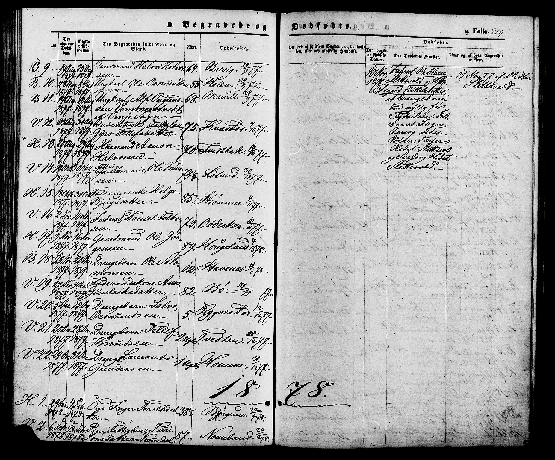 Valle sokneprestkontor, SAK/1111-0044/F/Fa/Fac/L0008: Parish register (official) no. A 8, 1868-1882, p. 219