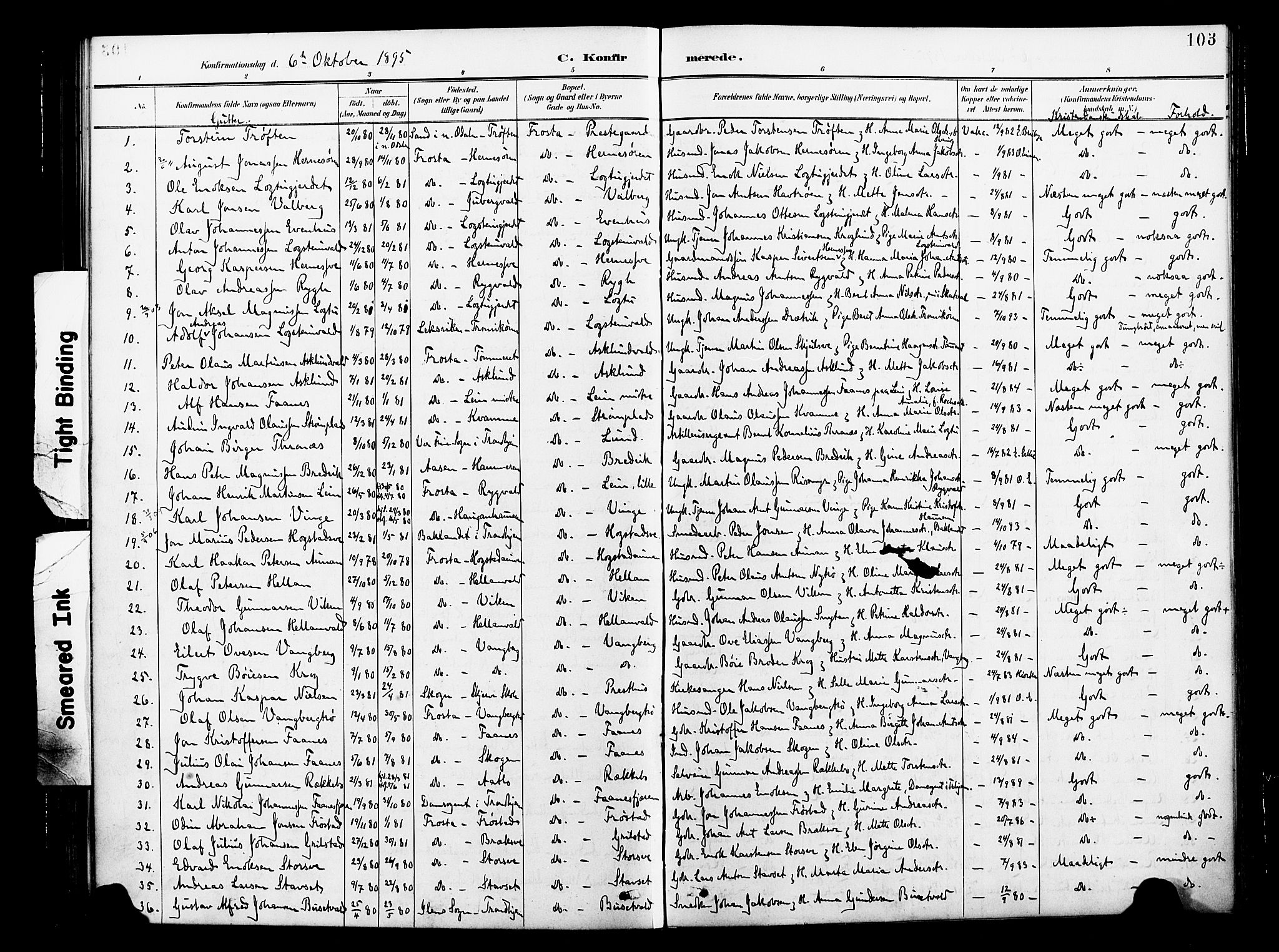 Ministerialprotokoller, klokkerbøker og fødselsregistre - Nord-Trøndelag, SAT/A-1458/713/L0121: Parish register (official) no. 713A10, 1888-1898, p. 103