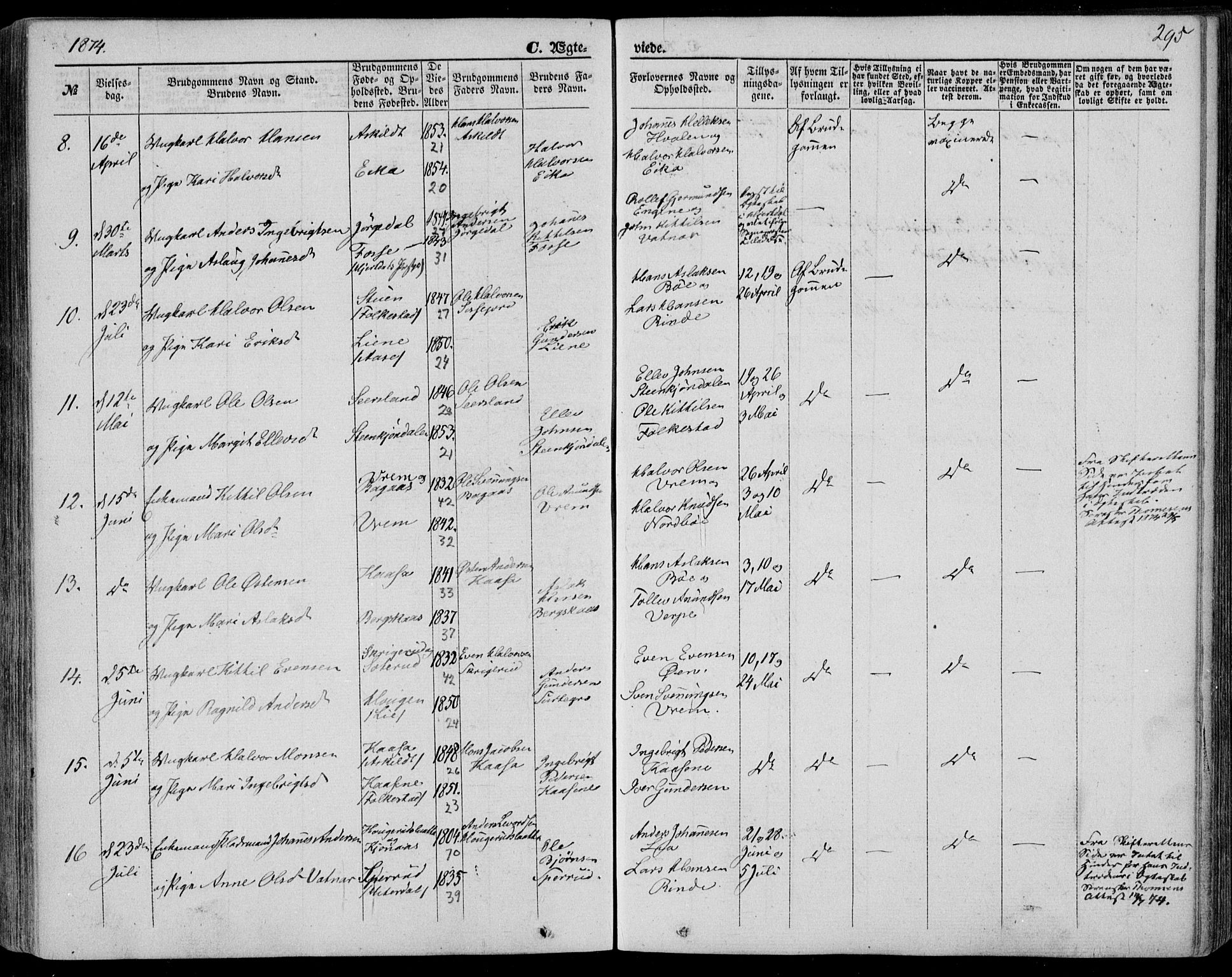 Bø kirkebøker, SAKO/A-257/F/Fa/L0009: Parish register (official) no. 9, 1862-1879, p. 295