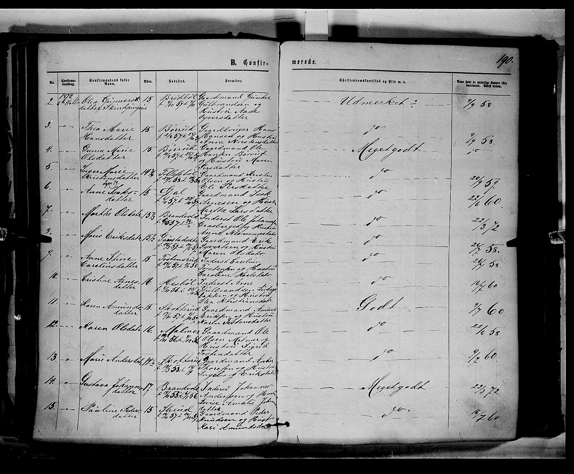 Eidskog prestekontor, AV/SAH-PREST-026/H/Ha/Haa/L0002: Parish register (official) no. 2, 1867-1878, p. 190