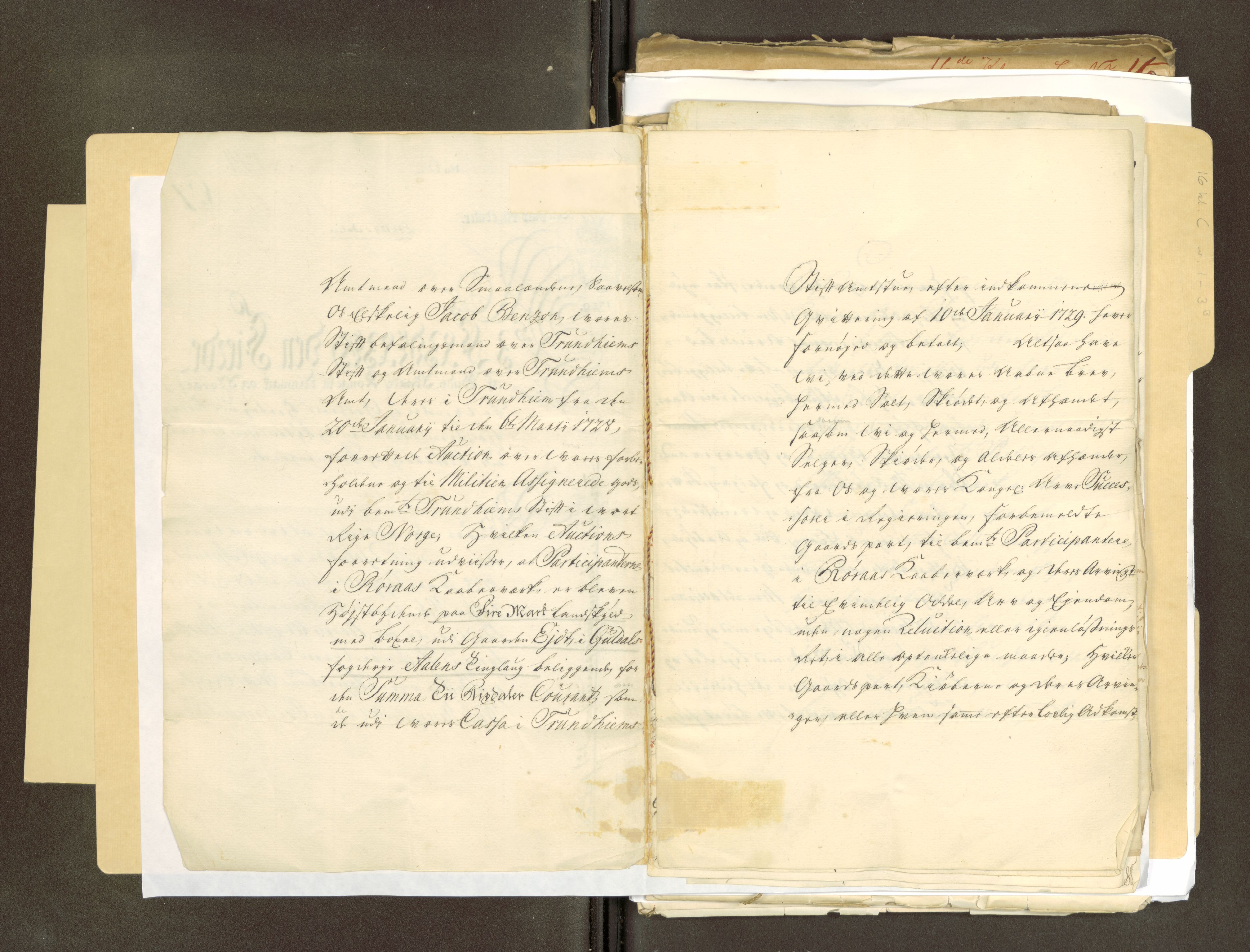 Røros kobberverk, AV/SAT-PA-0211/1/16/16C/L0001: Jordegodset i Ålen, 1729-1904, p. 5