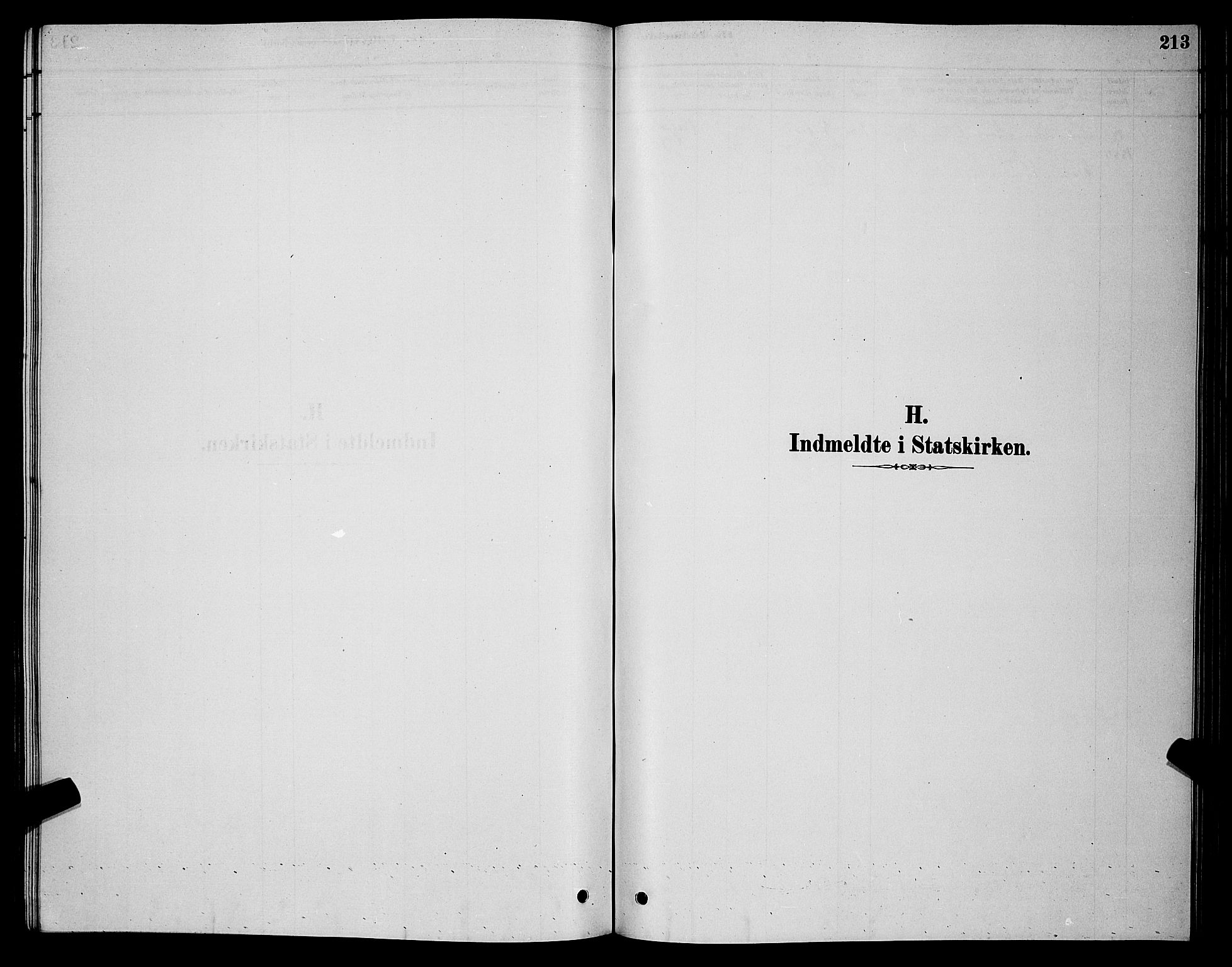 Måsøy sokneprestkontor, SATØ/S-1348/H/Hb/L0002klokker: Parish register (copy) no. 2, 1876-1888, p. 213