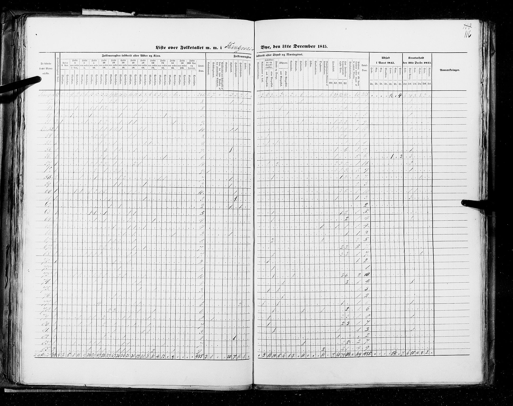 RA, Census 1845, vol. 11: Cities, 1845, p. 116