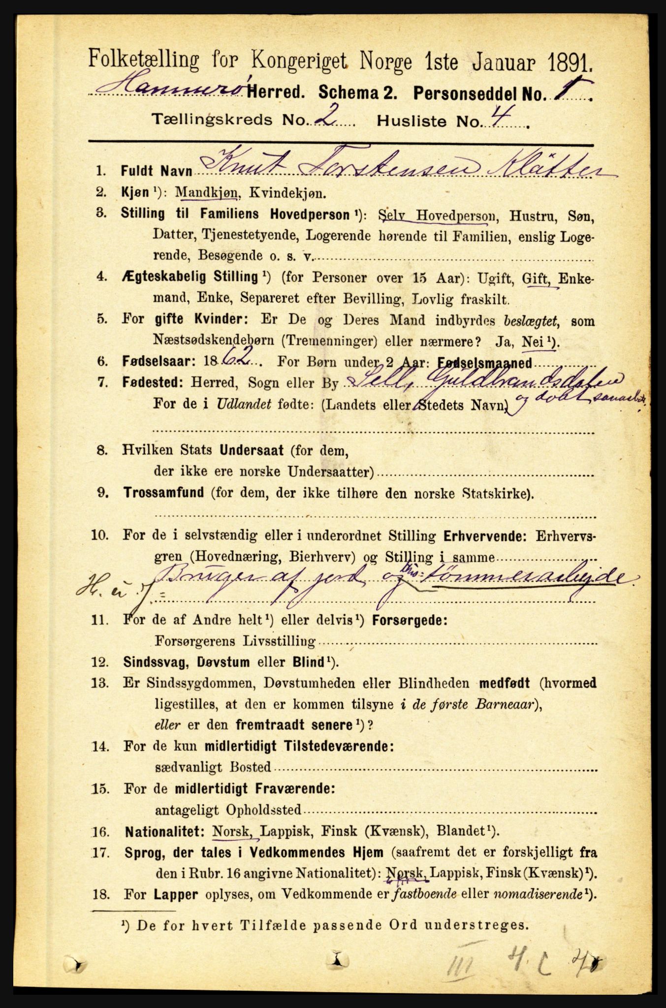 RA, 1891 census for 1849 Hamarøy, 1891, p. 596