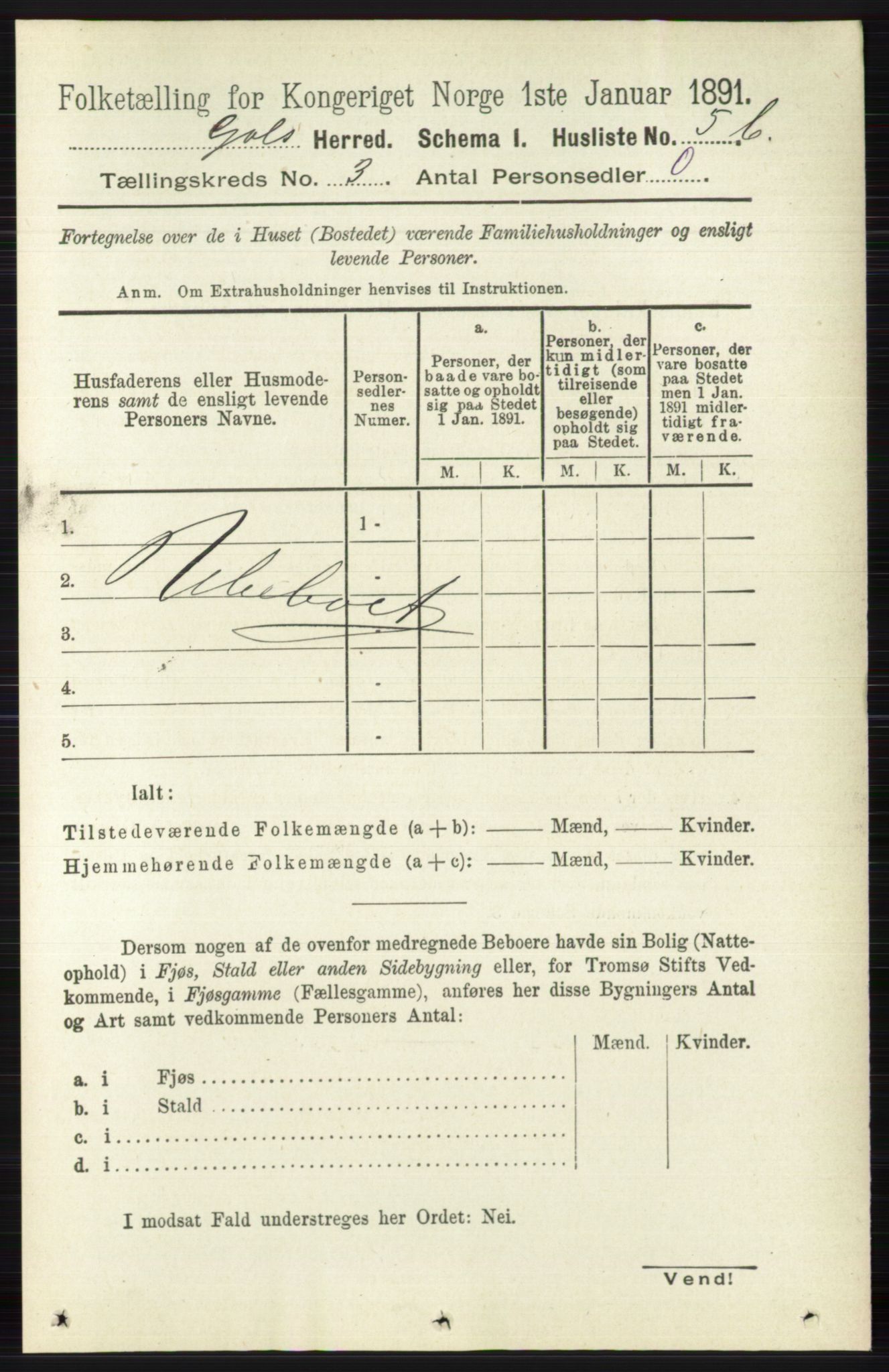 RA, 1891 census for 0617 Gol og Hemsedal, 1891, p. 1200