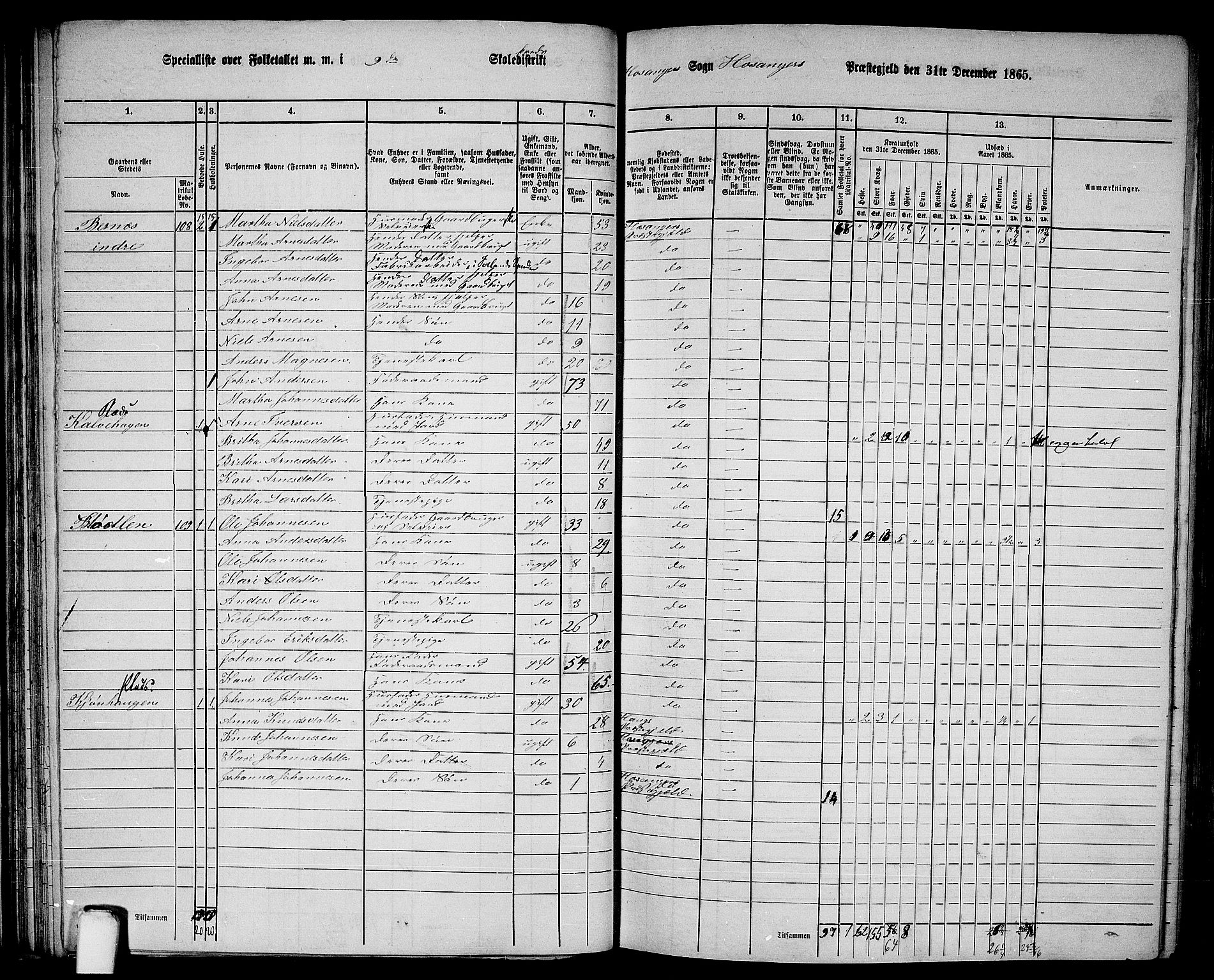 RA, 1865 census for Hosanger, 1865, p. 63