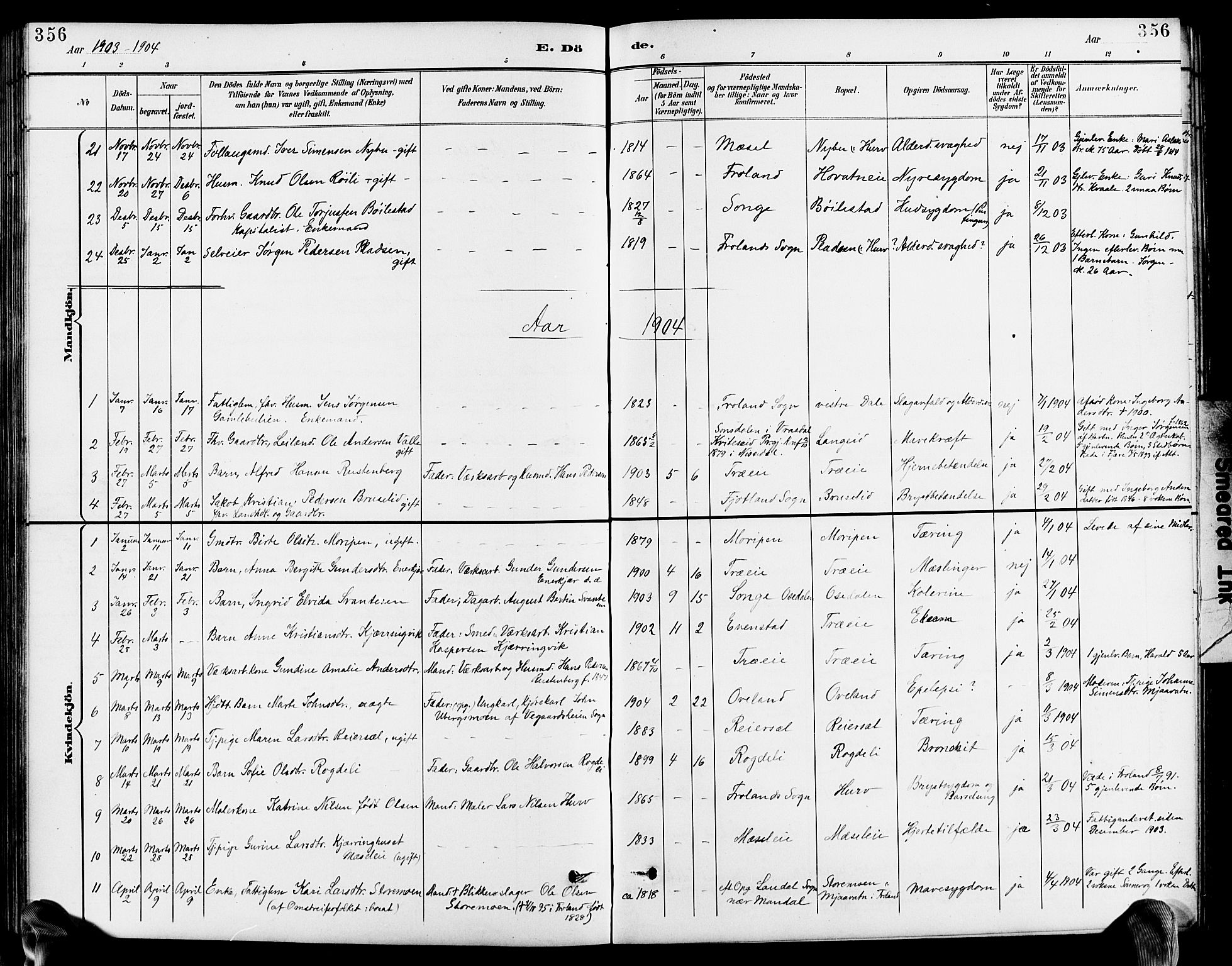 Froland sokneprestkontor, AV/SAK-1111-0013/F/Fb/L0010: Parish register (copy) no. B 10, 1893-1920, p. 356