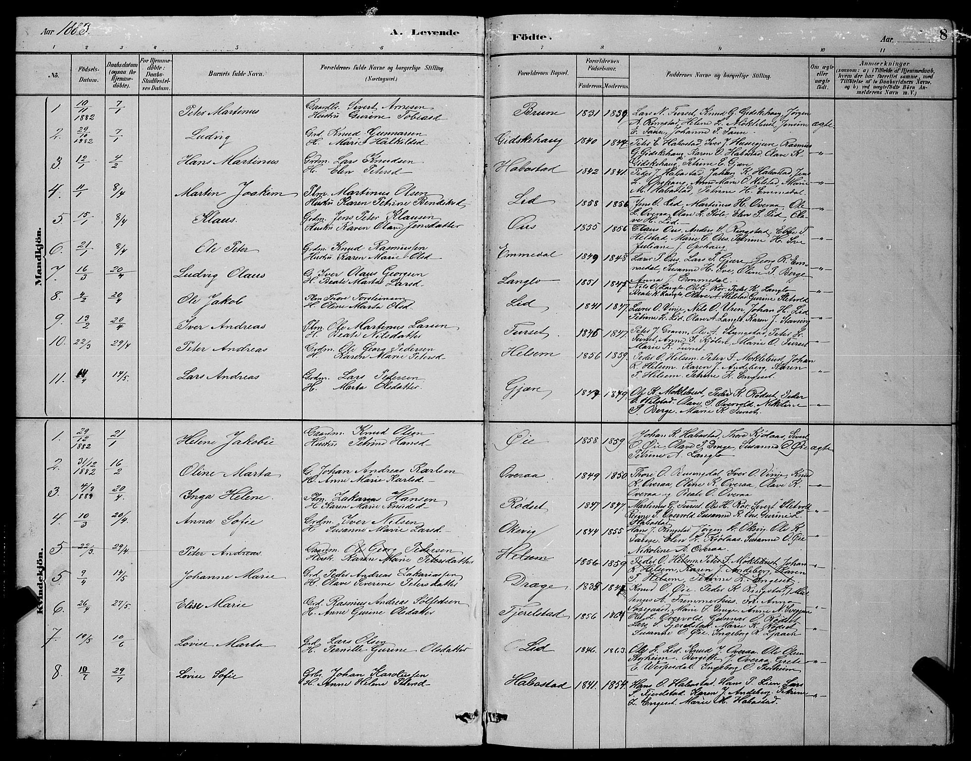 Ministerialprotokoller, klokkerbøker og fødselsregistre - Møre og Romsdal, AV/SAT-A-1454/520/L0292: Parish register (copy) no. 520C04, 1882-1901, p. 8