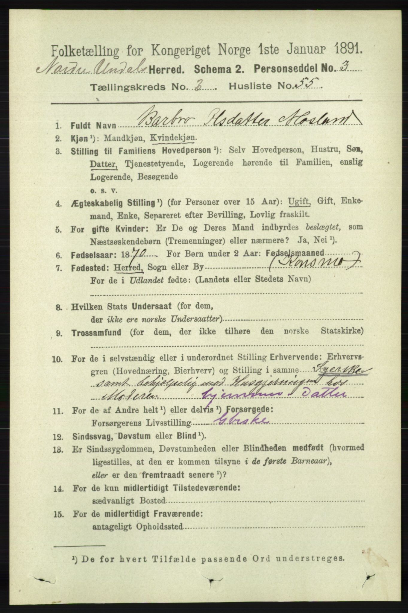 RA, 1891 census for 1028 Nord-Audnedal, 1891, p. 1013