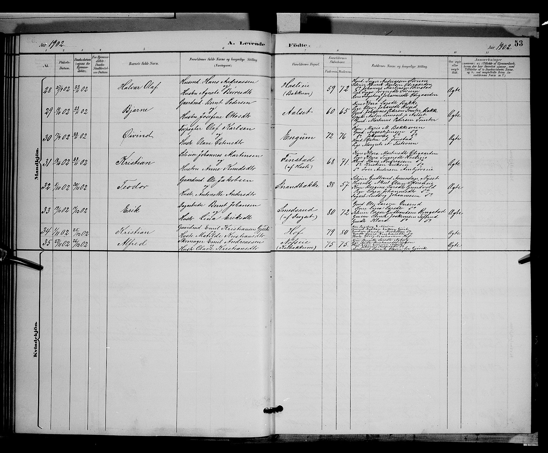 Biri prestekontor, AV/SAH-PREST-096/H/Ha/Hab/L0003: Parish register (copy) no. 3, 1892-1905, p. 53