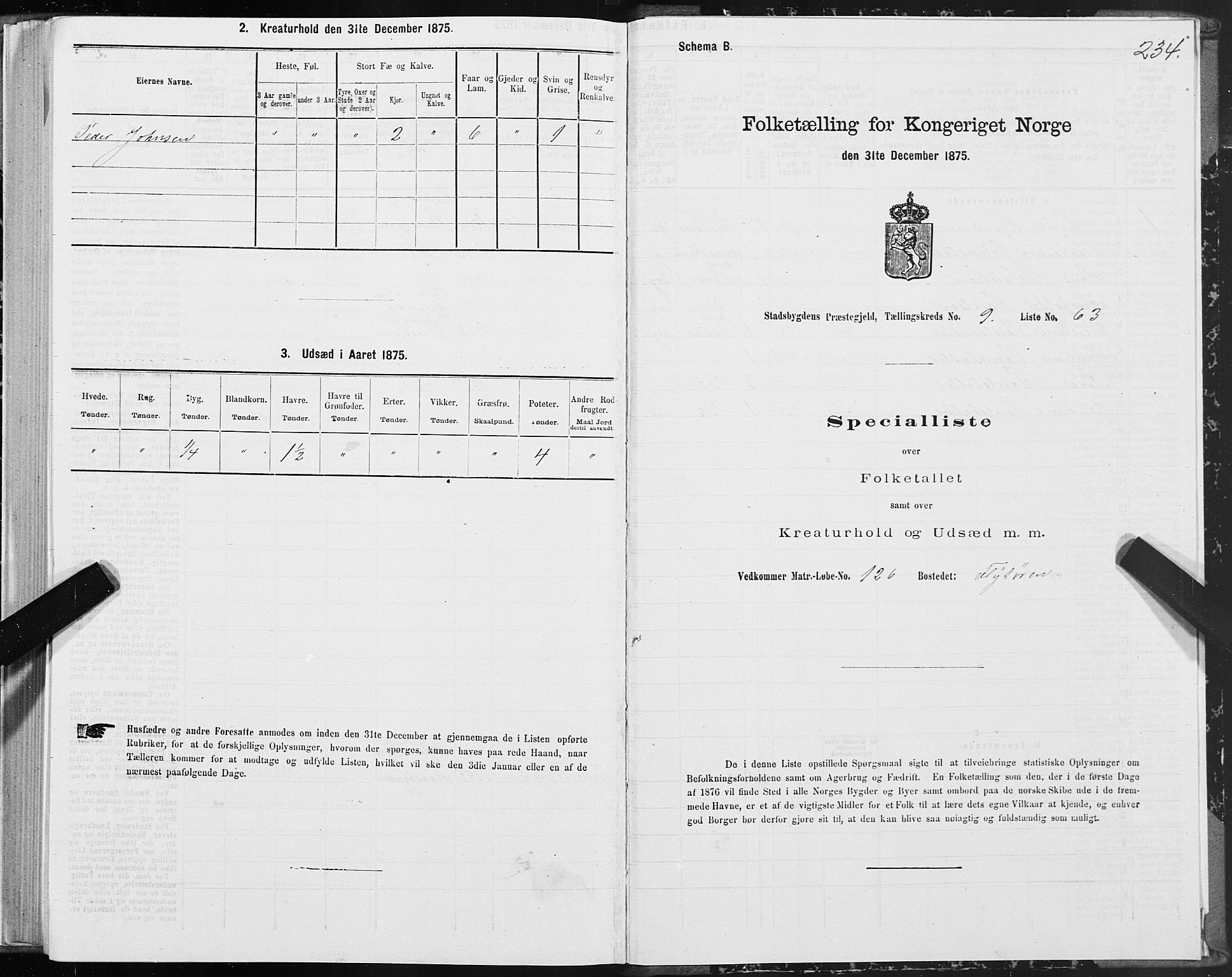 SAT, 1875 census for 1625P Stadsbygd, 1875, p. 5234