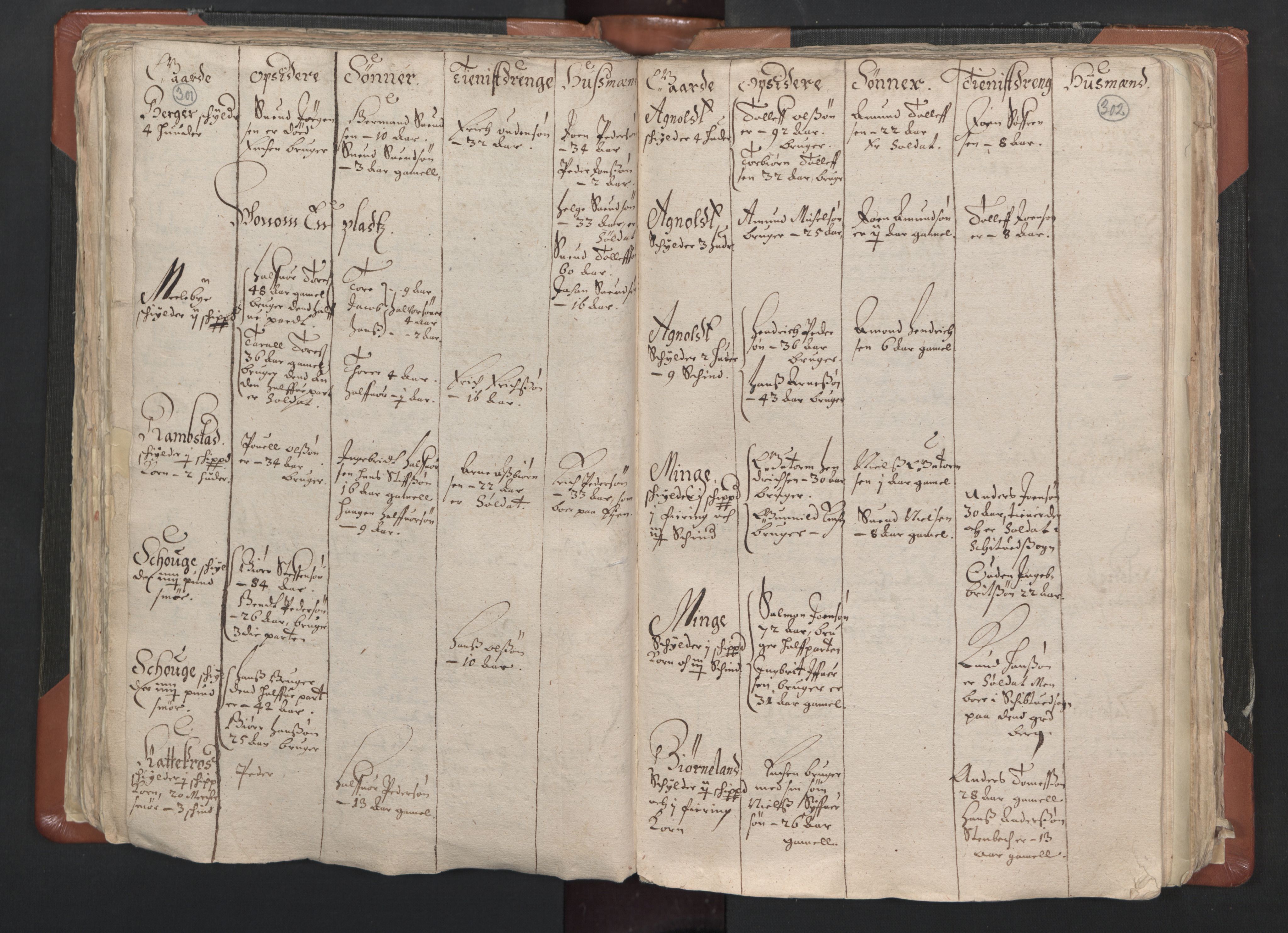 RA, Vicar's Census 1664-1666, no. 1: Nedre Borgesyssel deanery, 1664-1666, p. 301-302