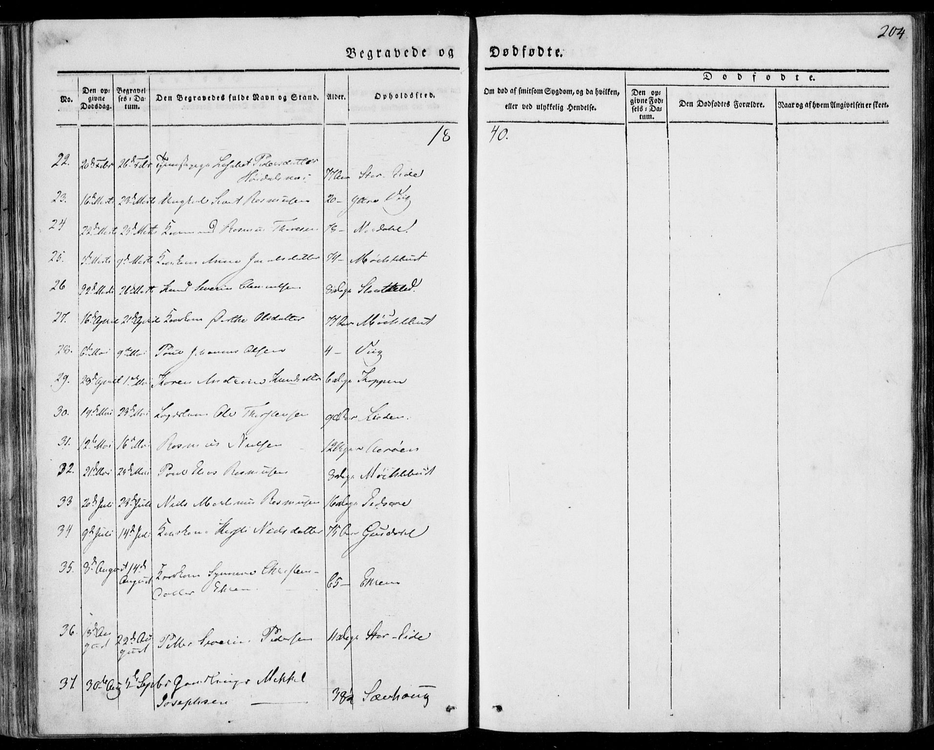 Ministerialprotokoller, klokkerbøker og fødselsregistre - Møre og Romsdal, AV/SAT-A-1454/501/L0005: Parish register (official) no. 501A05, 1831-1844, p. 204