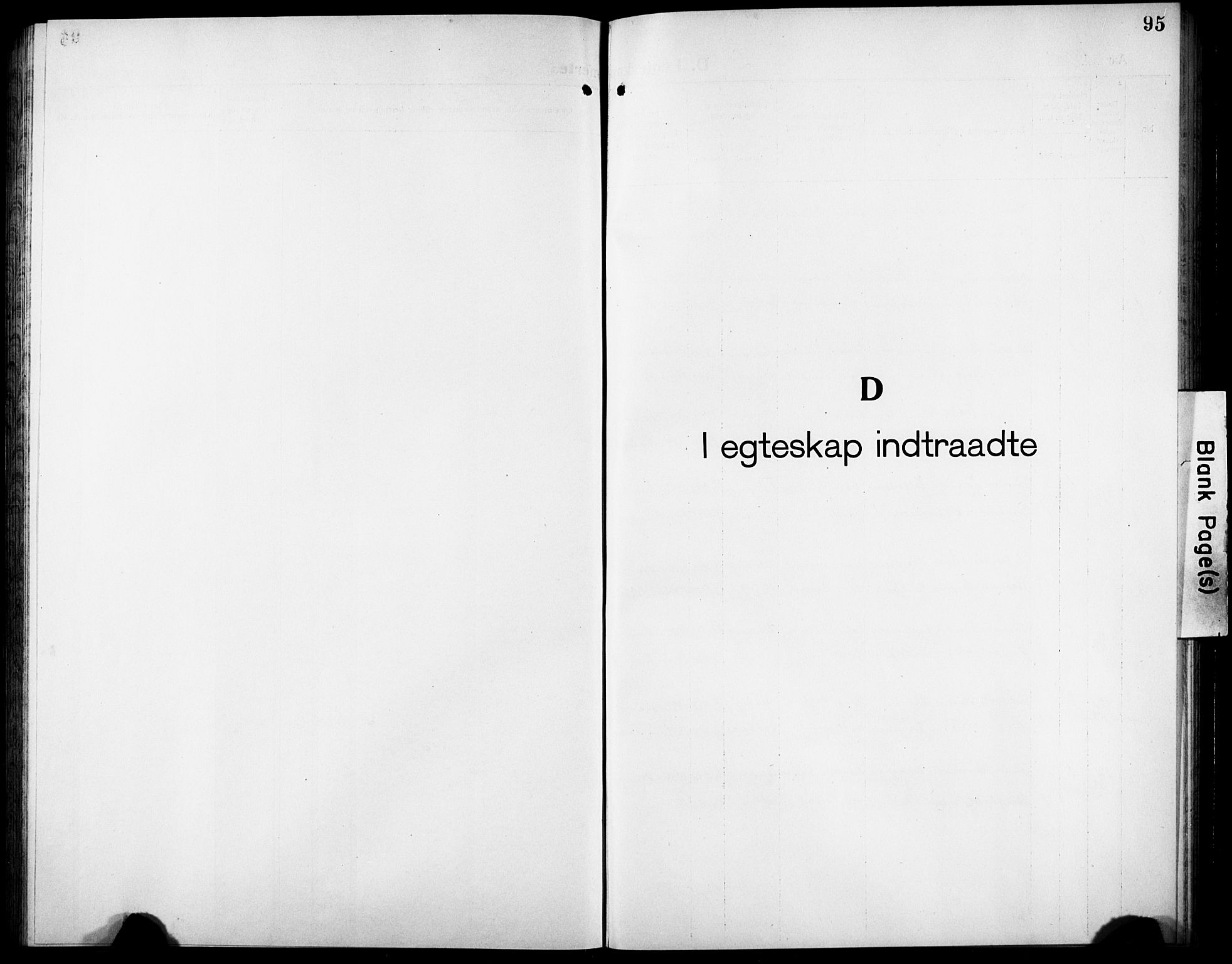 Ministerialprotokoller, klokkerbøker og fødselsregistre - Nordland, SAT/A-1459/832/L0495: Parish register (copy) no. 832C02, 1920-1932, p. 95