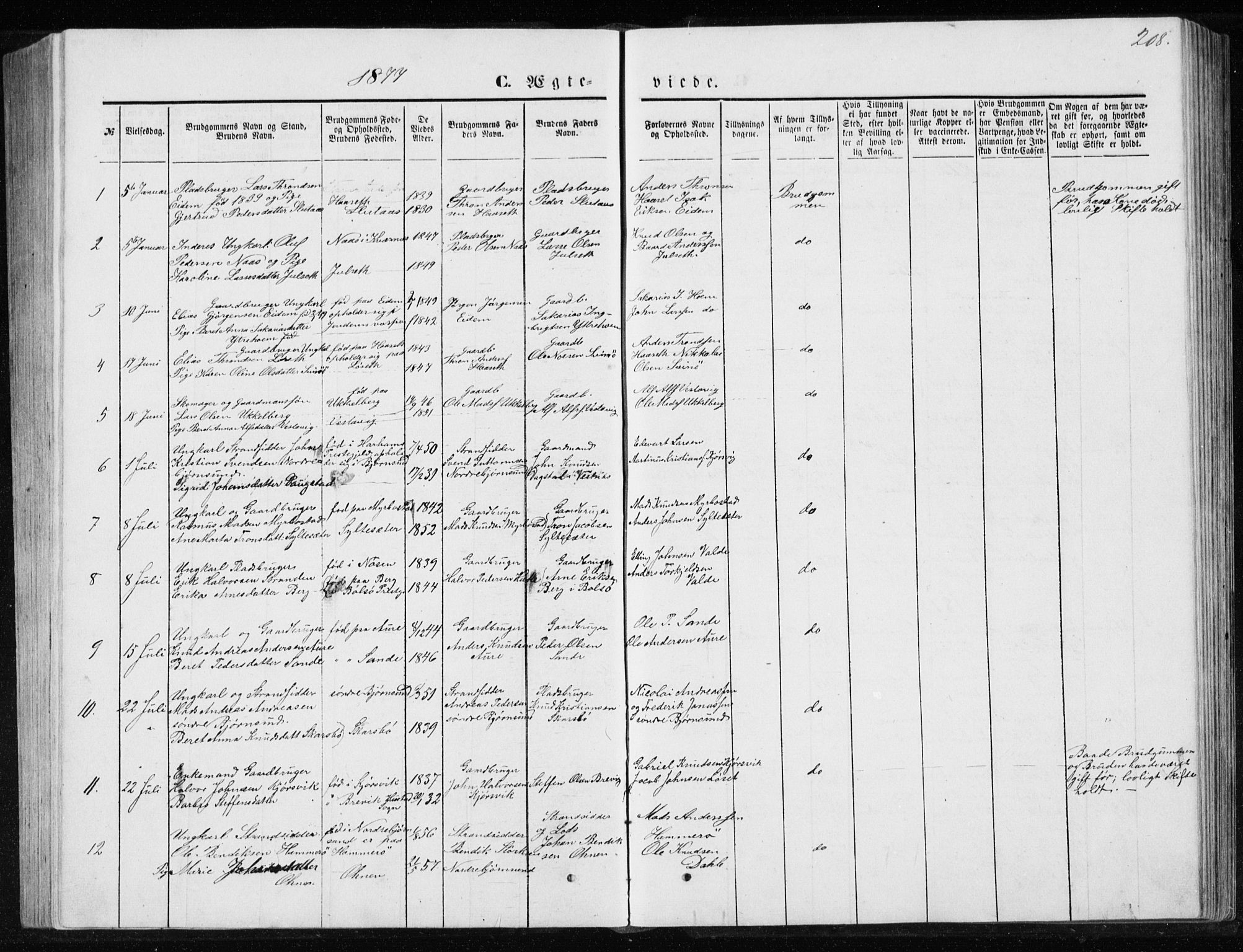 Ministerialprotokoller, klokkerbøker og fødselsregistre - Møre og Romsdal, SAT/A-1454/565/L0754: Parish register (copy) no. 565C03, 1870-1896, p. 208