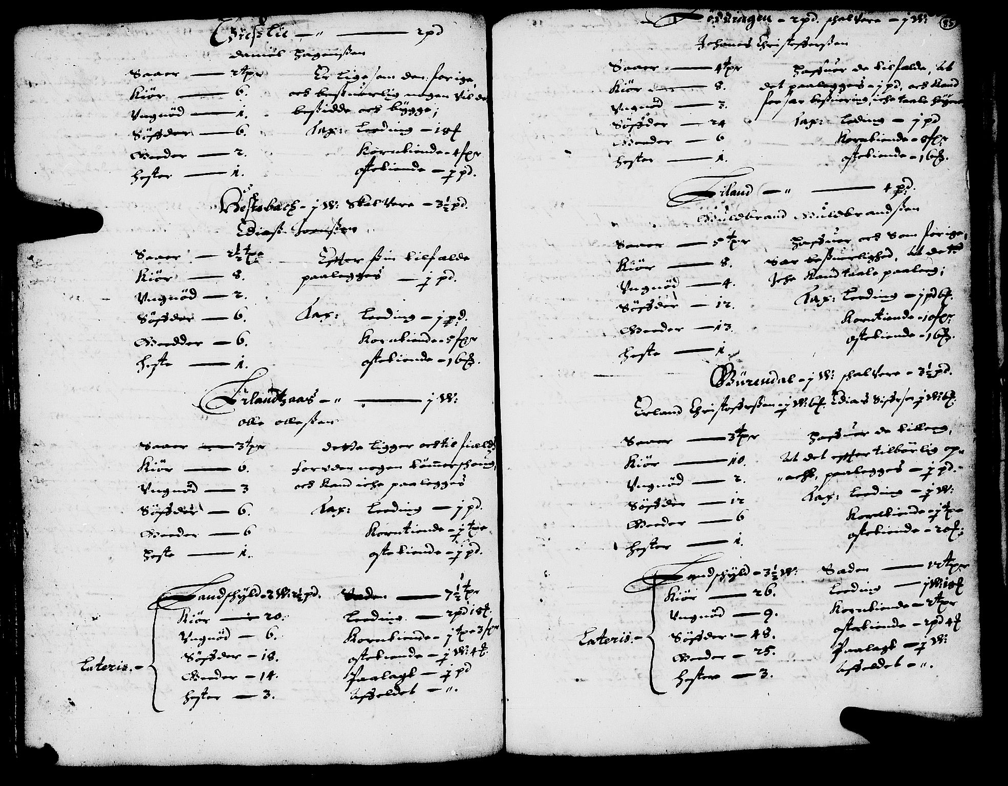 Rentekammeret inntil 1814, Realistisk ordnet avdeling, RA/EA-4070/N/Nb/Nba/L0058: Salten fogderi, 1666-1667, p. 84b-85a