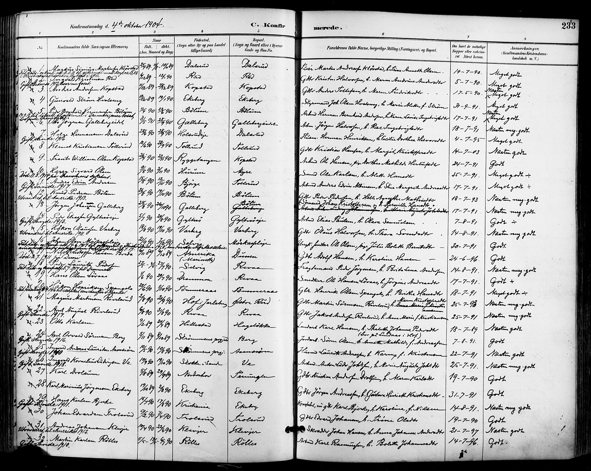 Sande Kirkebøker, SAKO/A-53/F/Fa/L0007: Parish register (official) no. 7, 1888-1903, p. 233